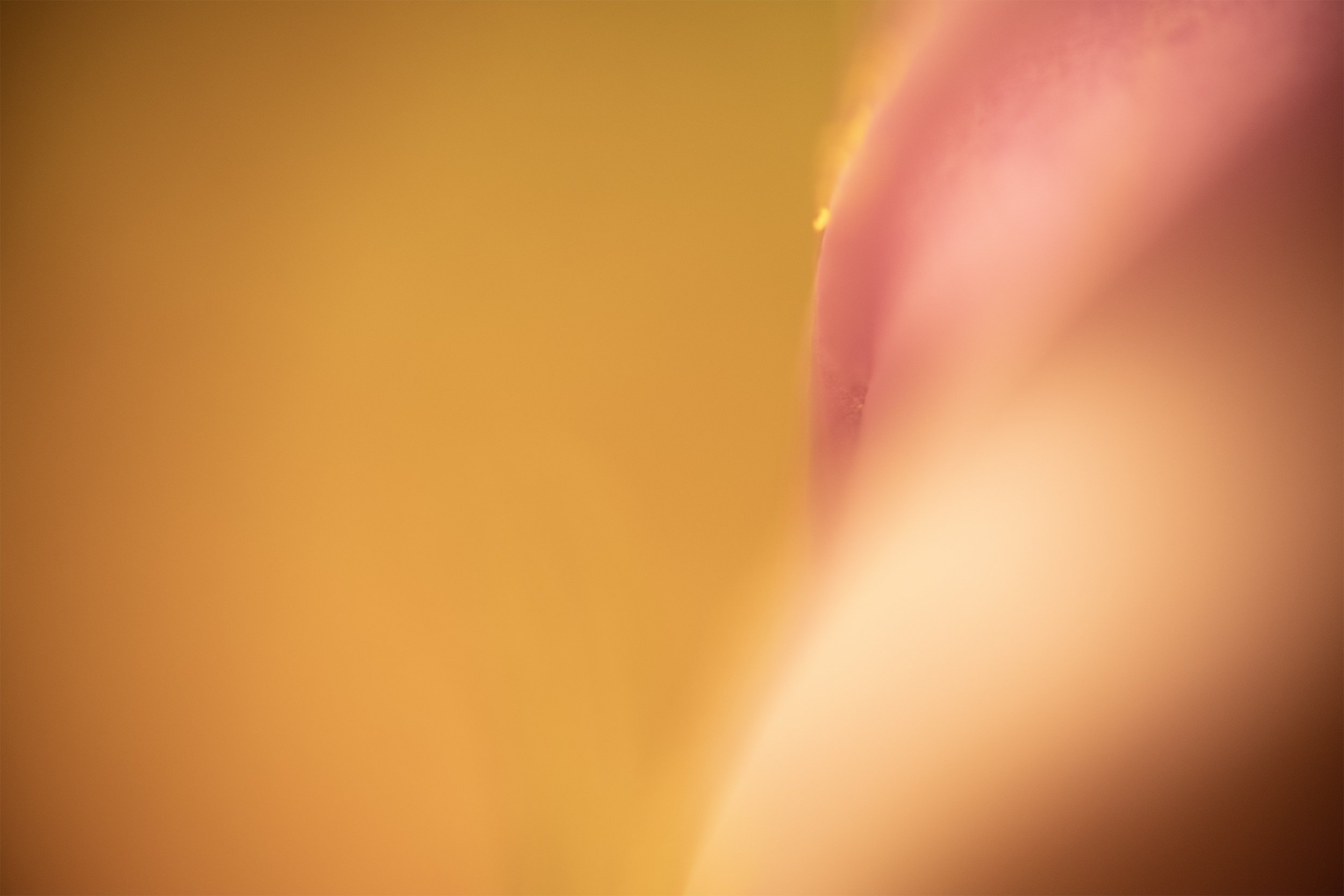 soft parallellity 01