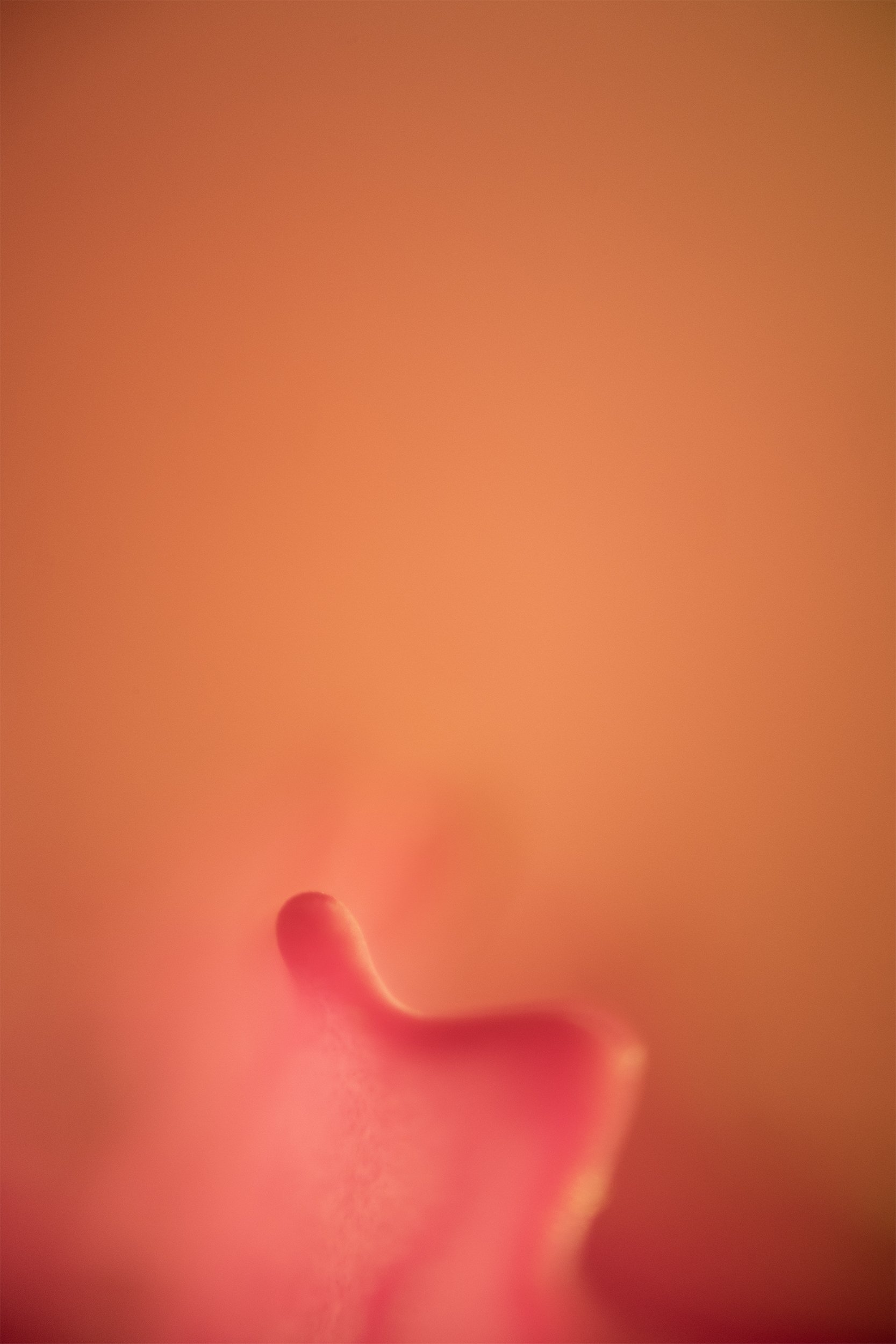 SOFT PARALLELLITY 02.jpg