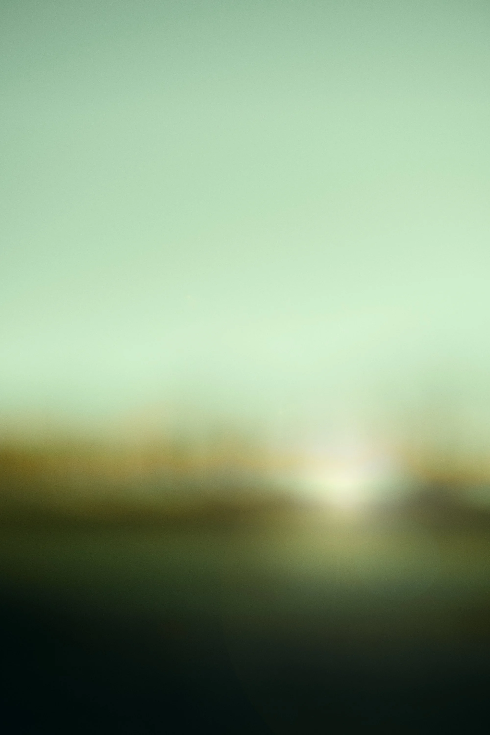 light embrace 03