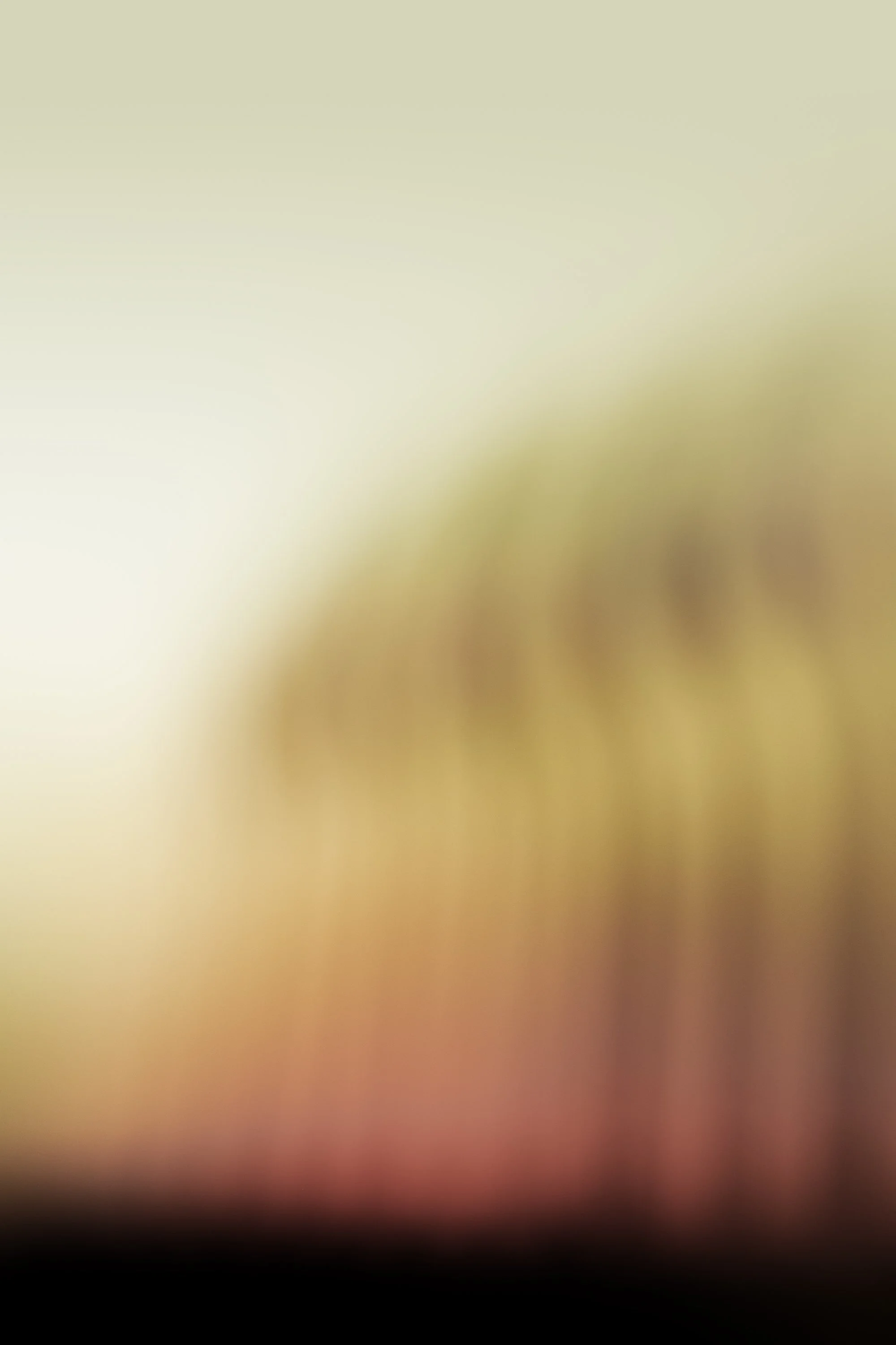 SOOTHURE 04 - jh.jpg