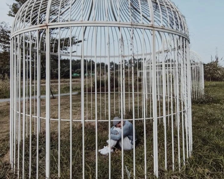 La gabbia del destino