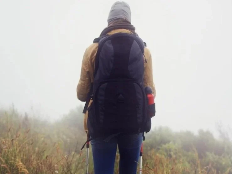 L'archetipo del viandante