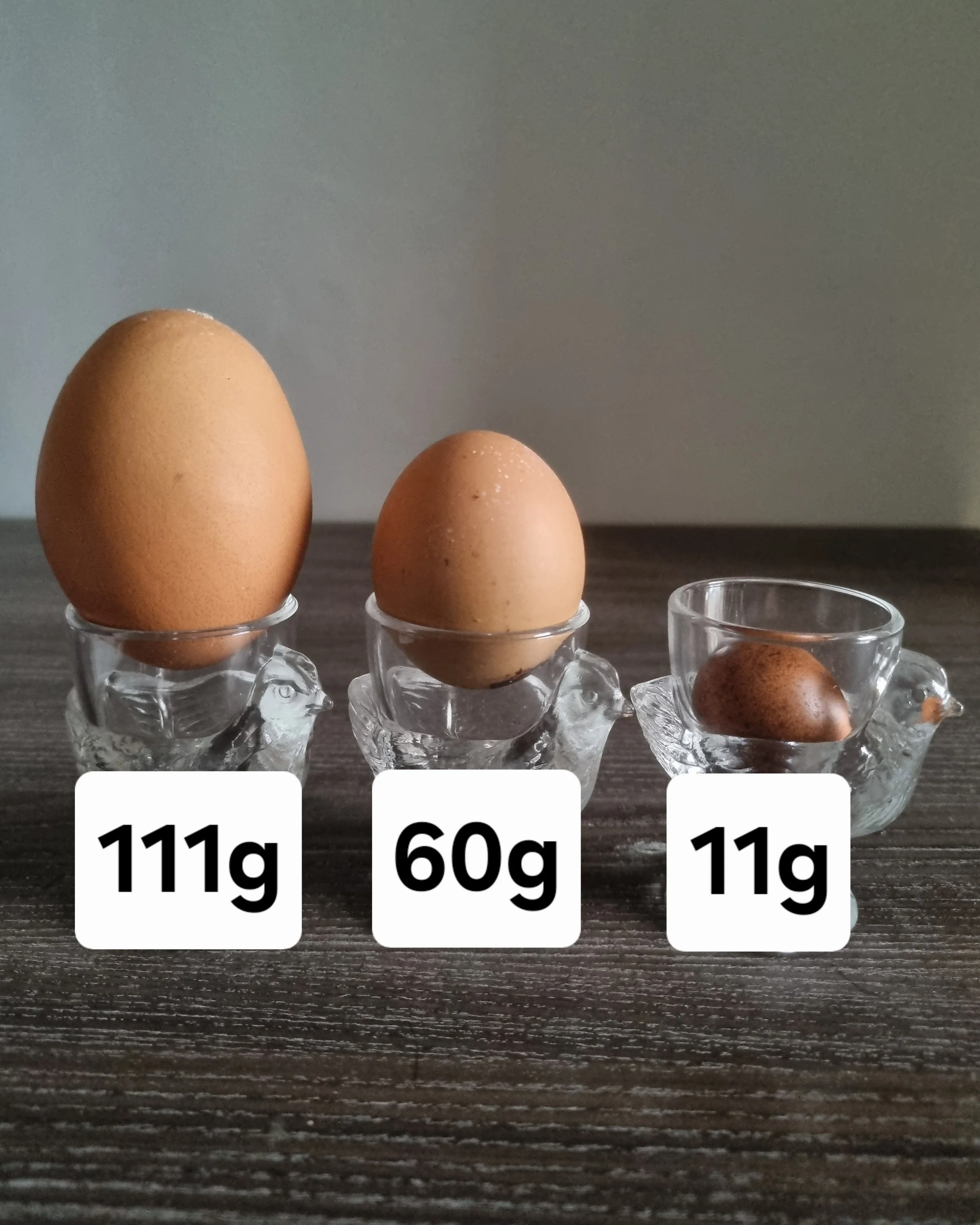 3 eggs in glass egg cups. All different sizes, large (111g), medium (60g) and a fairy egg without a yolk weighing 11g.