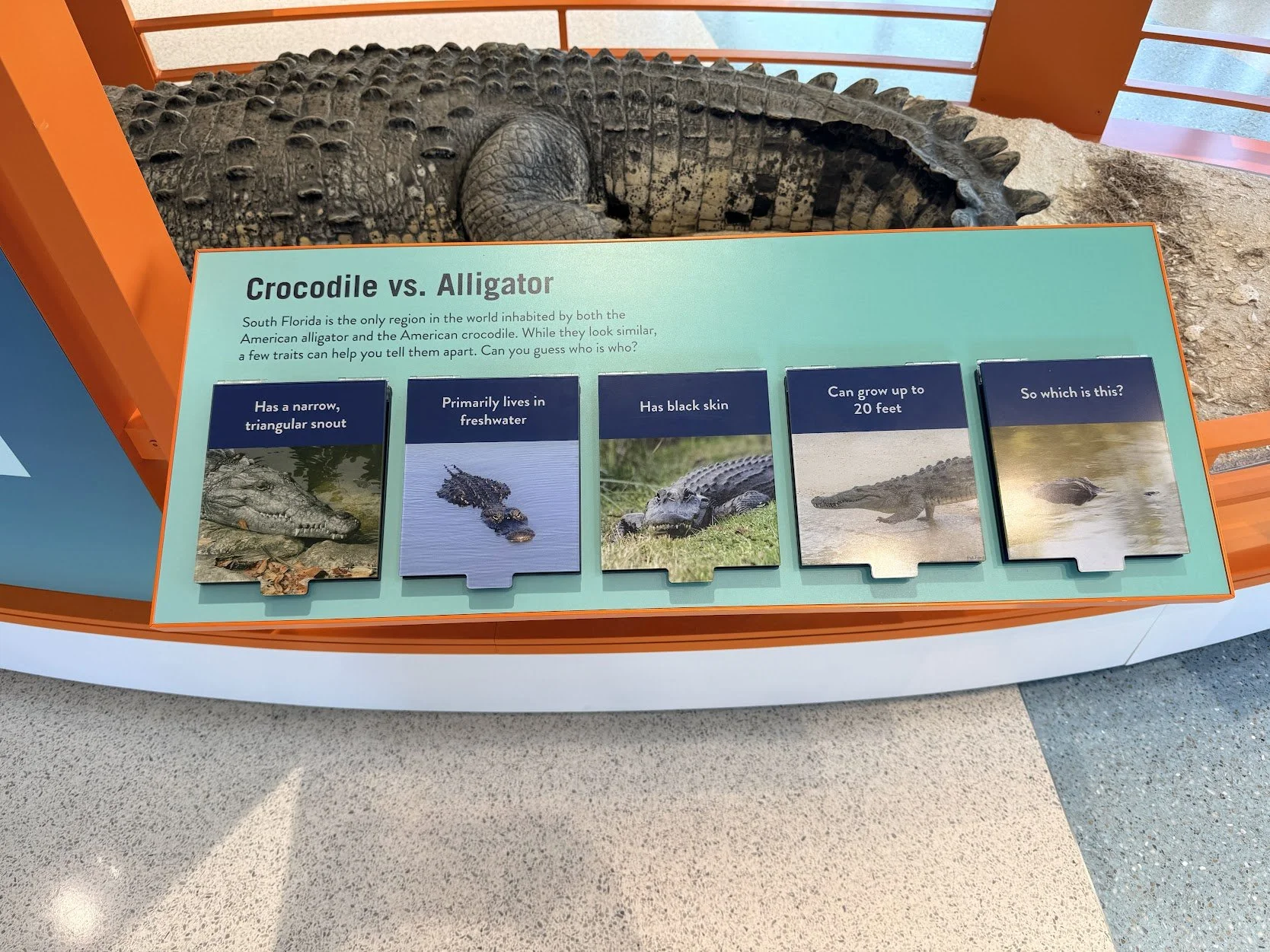 Everglades Bradley Visitors Center.jpg