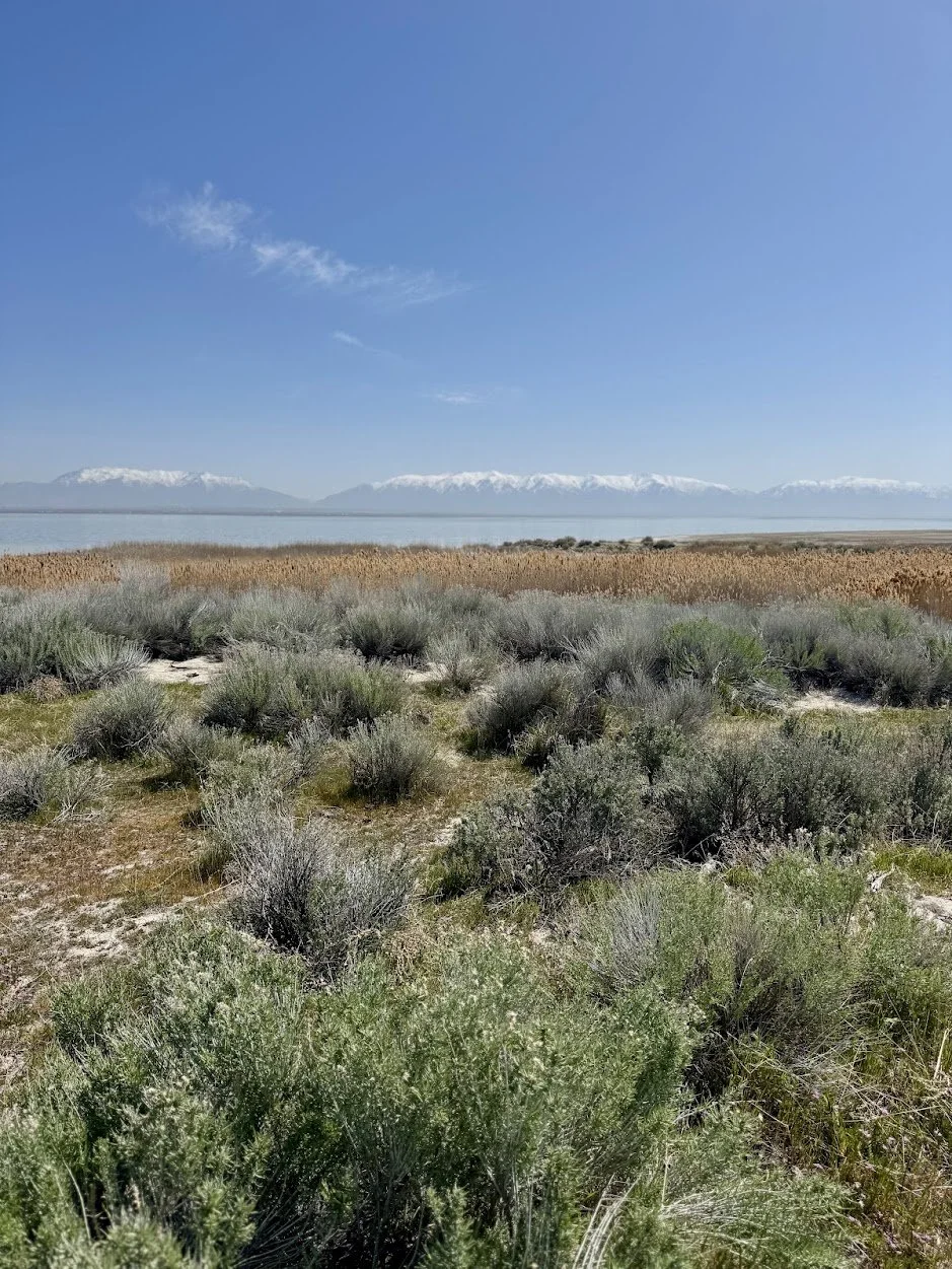 Antelope Island State Park
