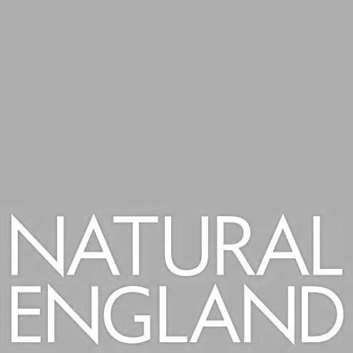 Text reading 'NATURAL ENGLAND' on a gray background.