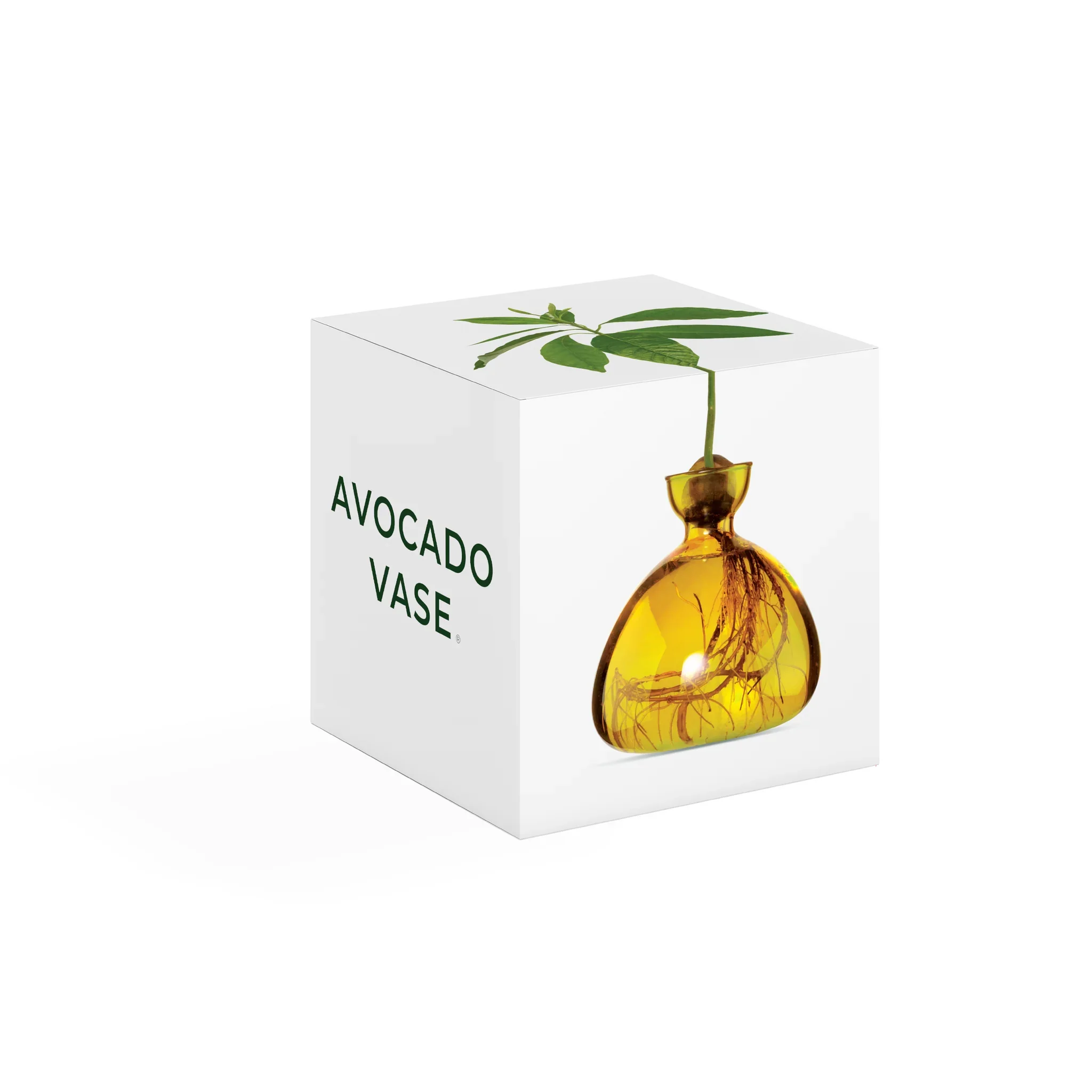Mellow_Yellow_AvocadoVase_Box_2048x2048.png.webp