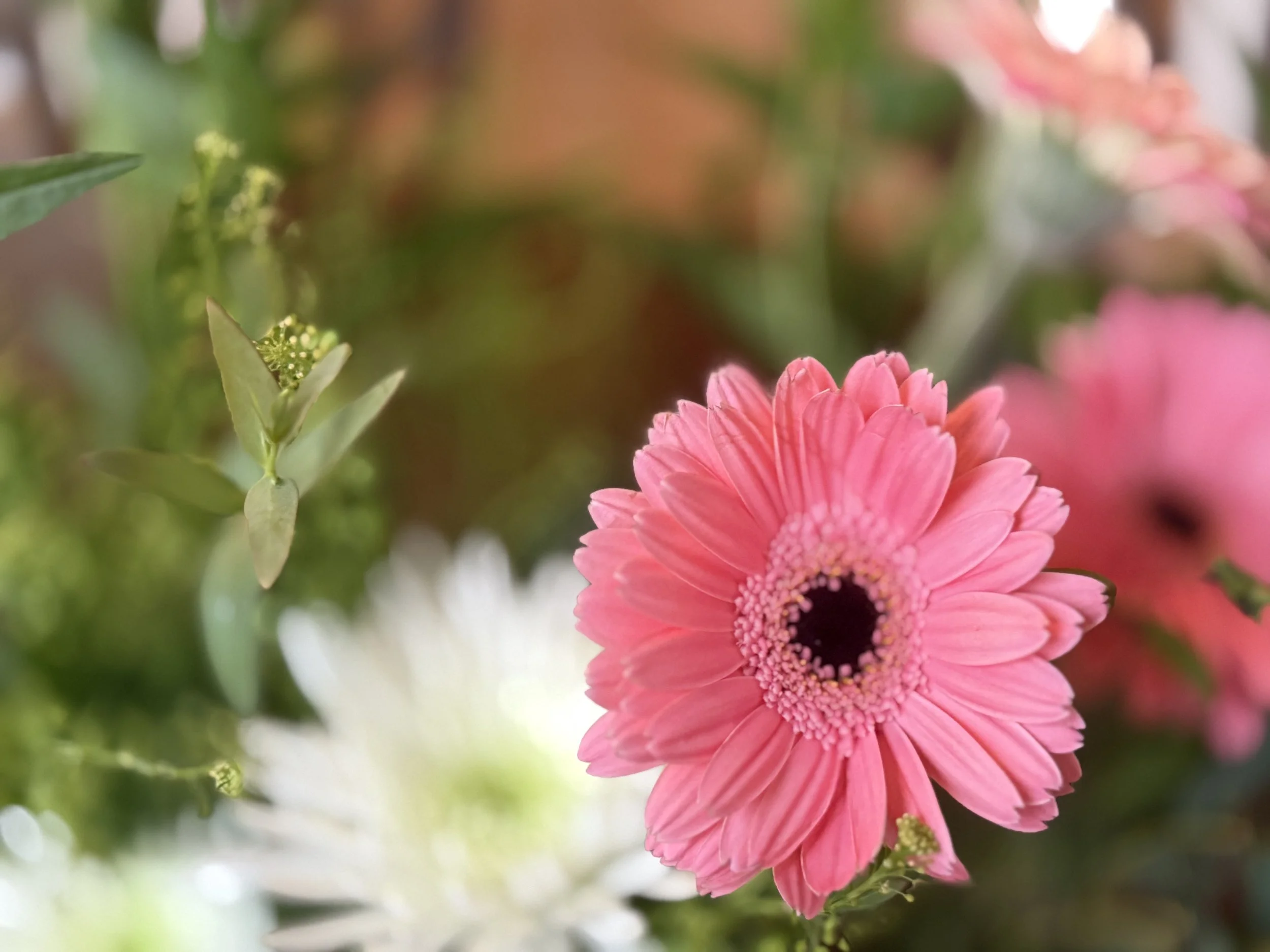 Dear Mom, How Do I Make It Look Like I Know What I’m Doing with Flowers?