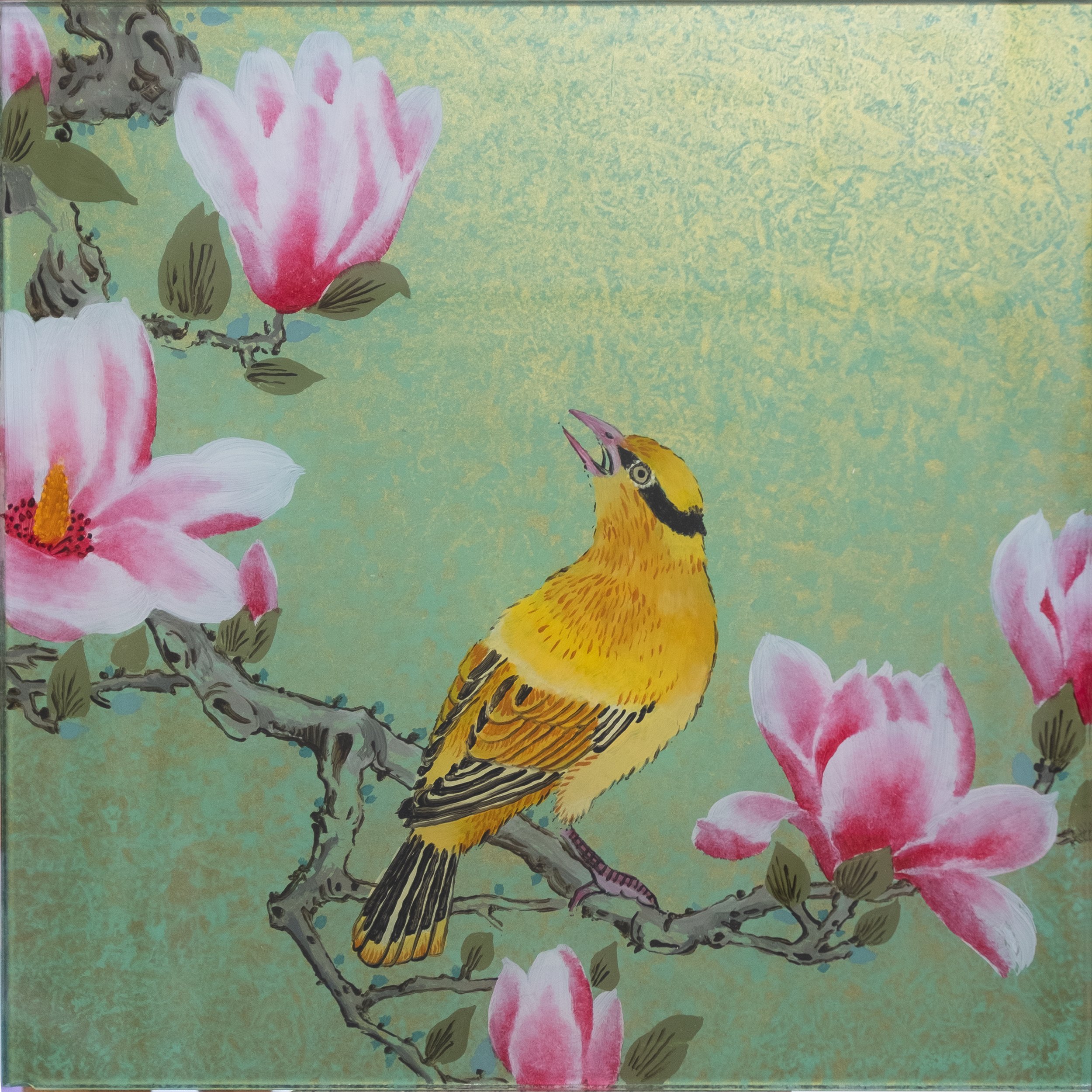 Magnolia Tree Golden Oriole Bird.jpg