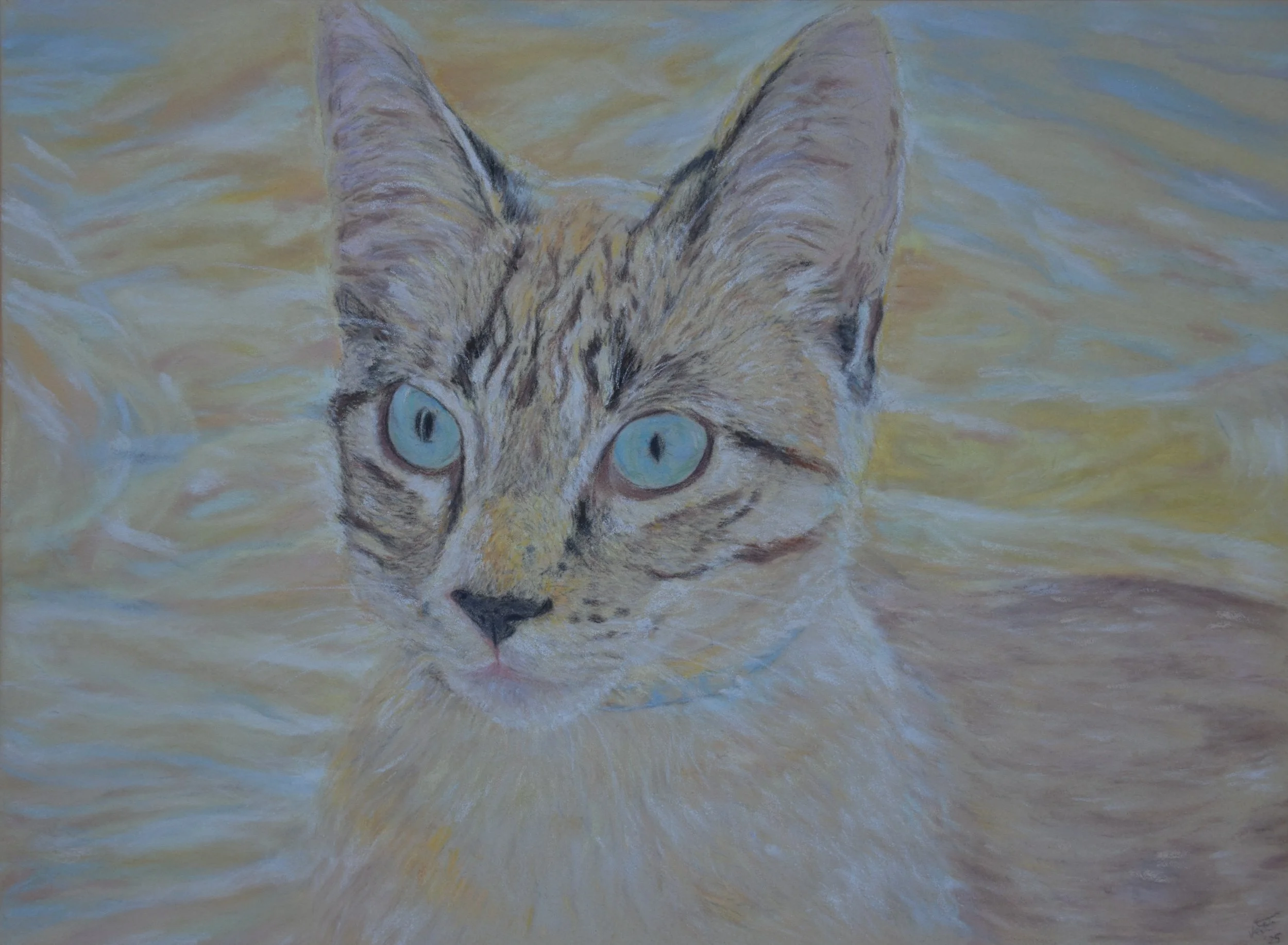 Linda Valentina, 2025. Soft pastel on paper. 29 x 42 cm. 11.43 x 16.3 in
