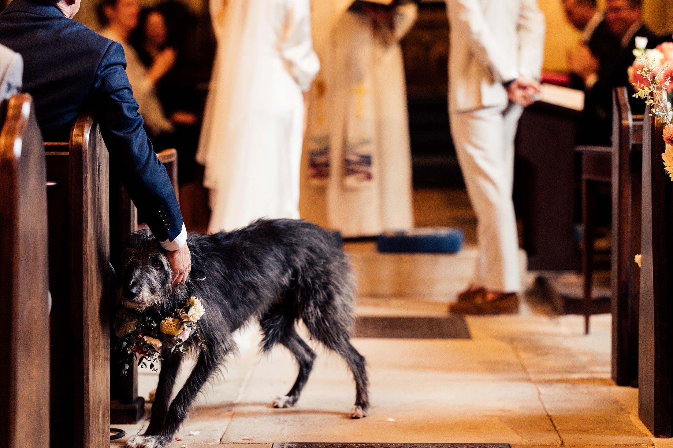 dog at church with floral collar 