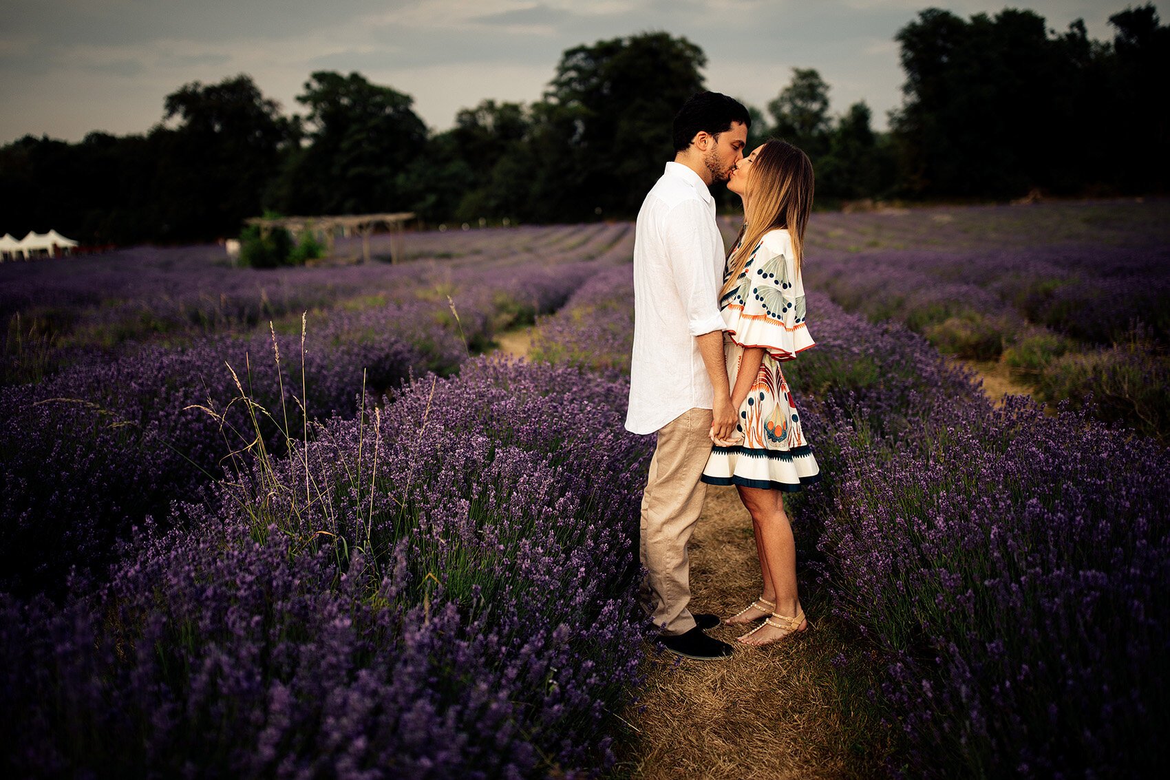 mayfield-lavender-farm-engagement-shoot0021.jpg