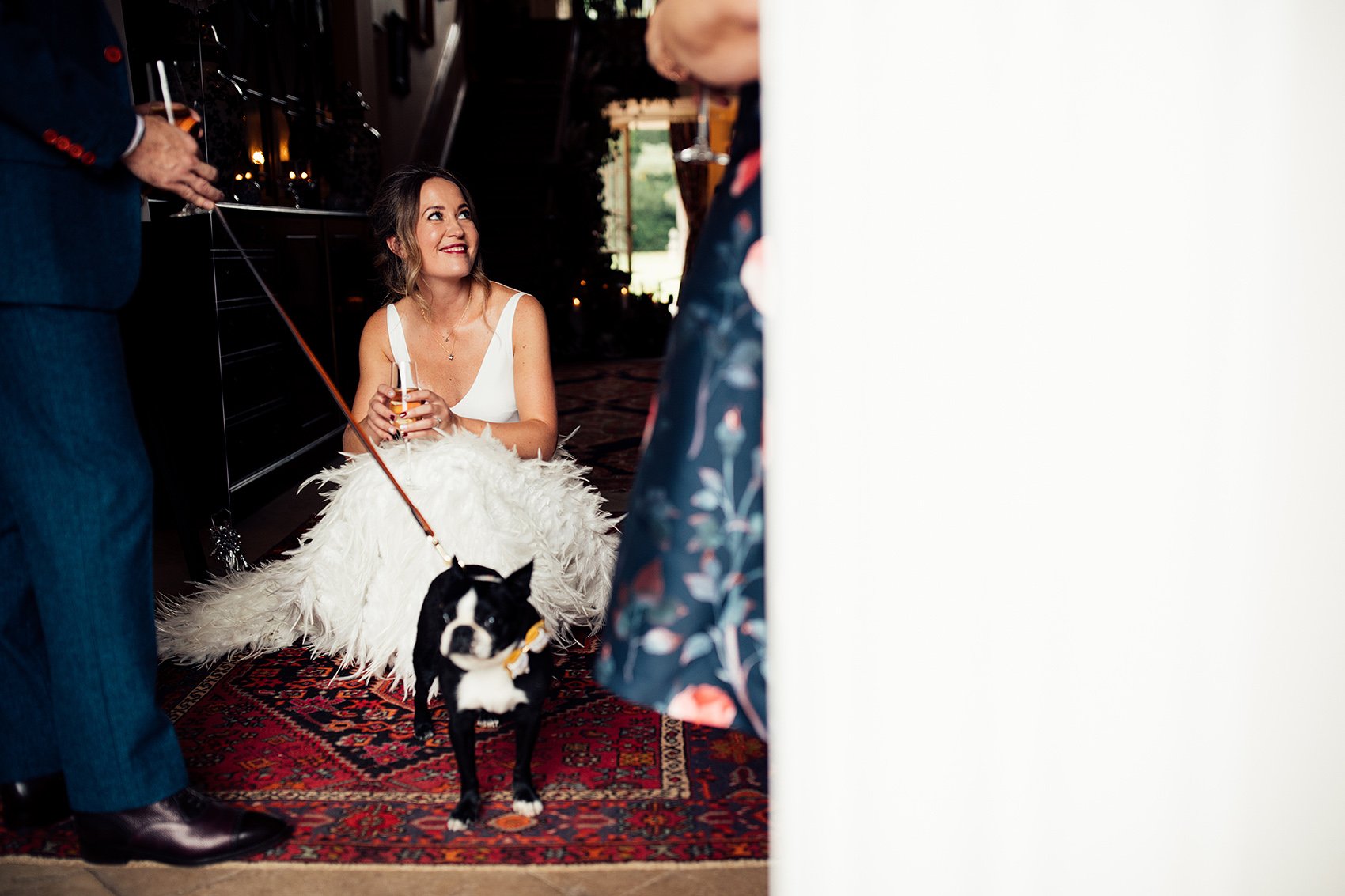 bride in Charlie Brear dress with boston terrier dog