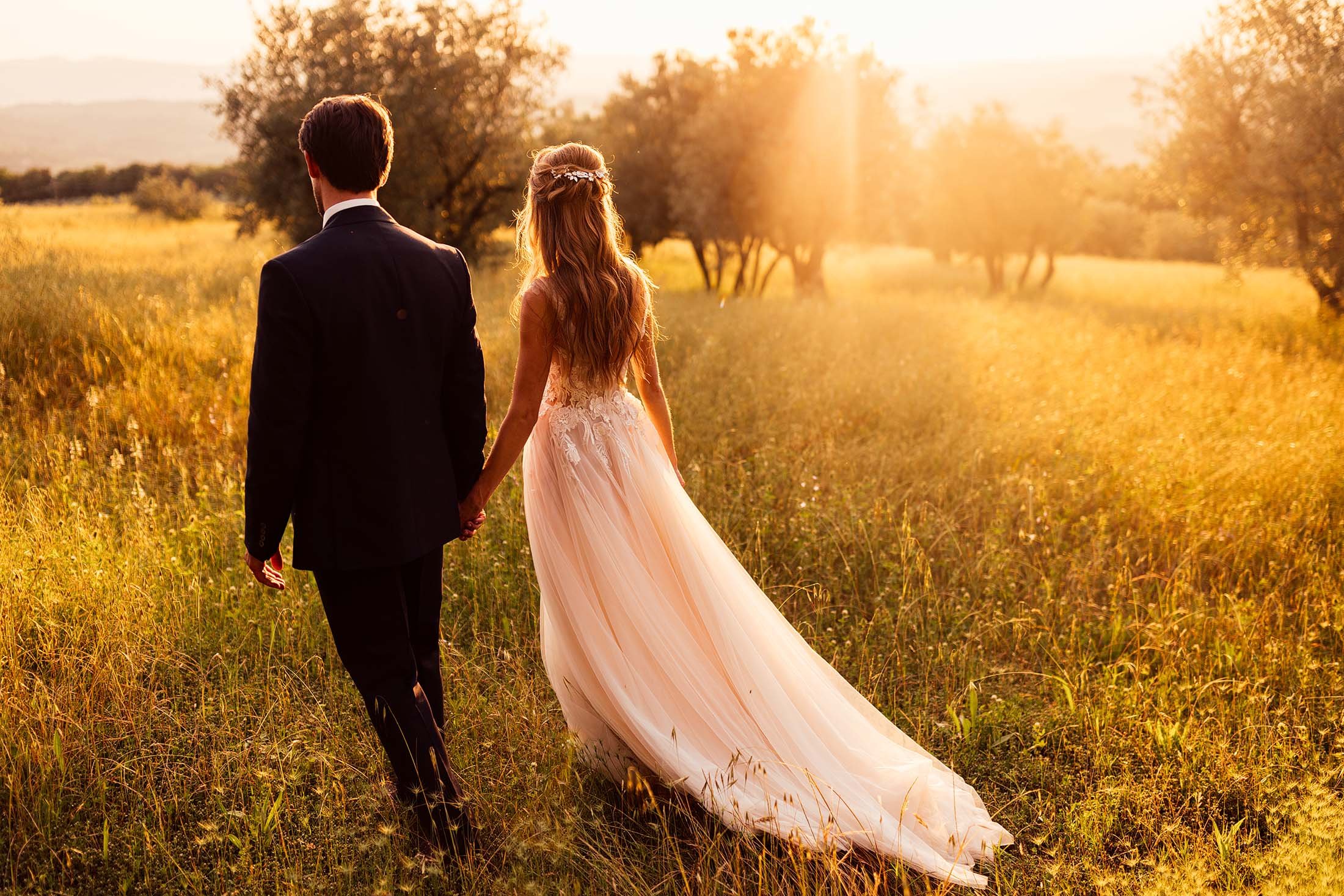 couple walk in olive grove during sunset