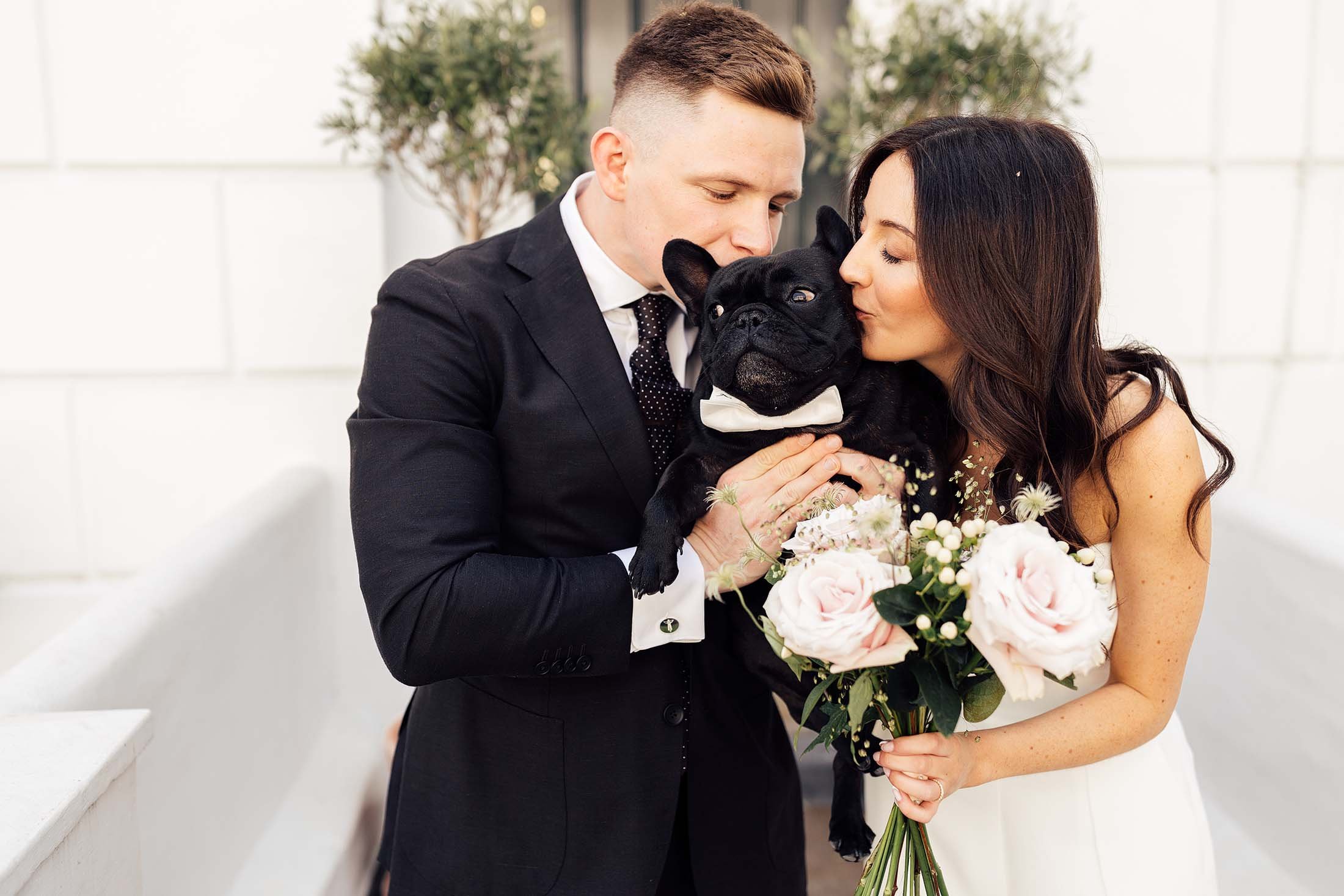 couple have photos with French bulldog outside islington town hall