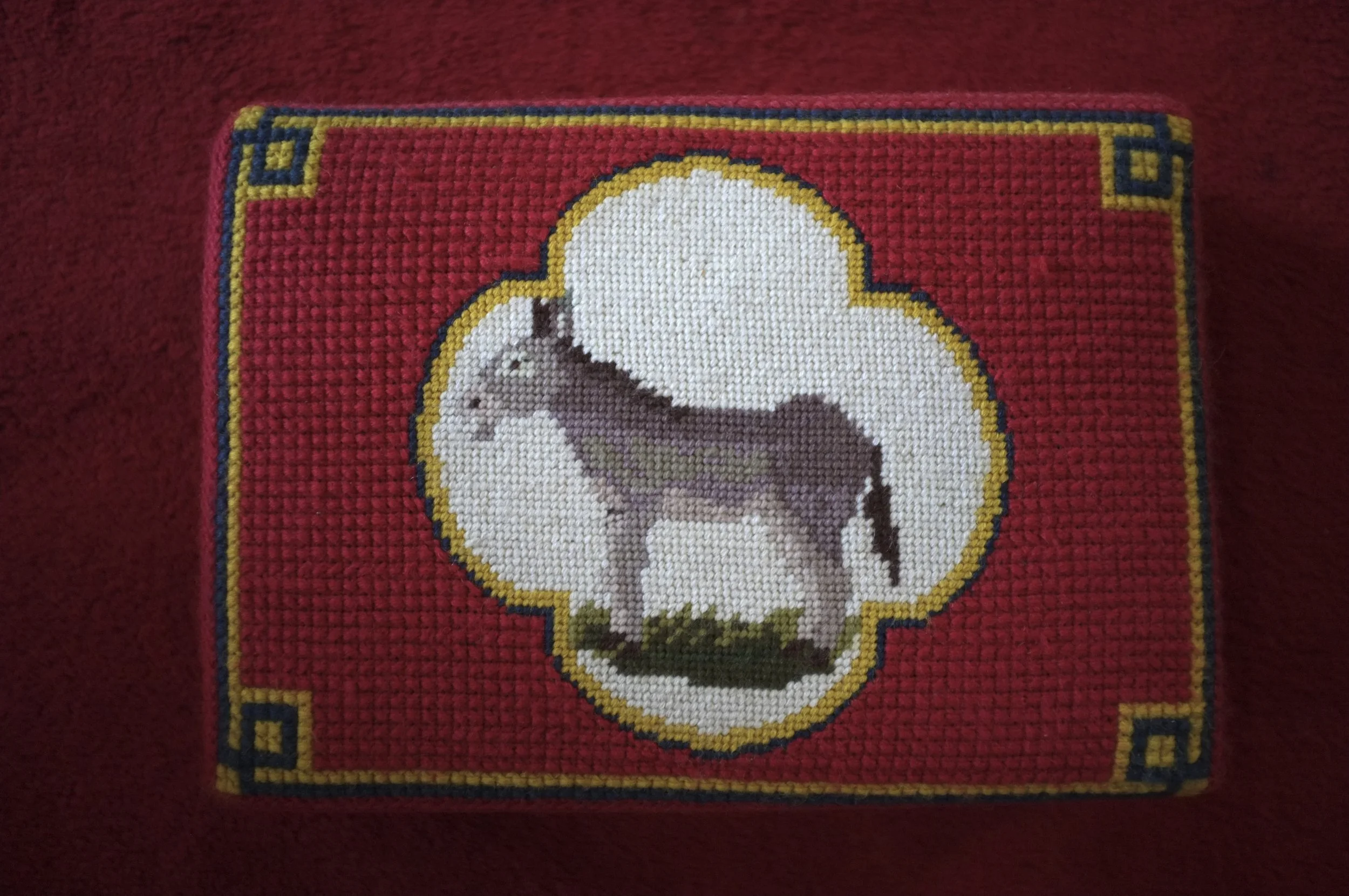 DSCF3350.jpg