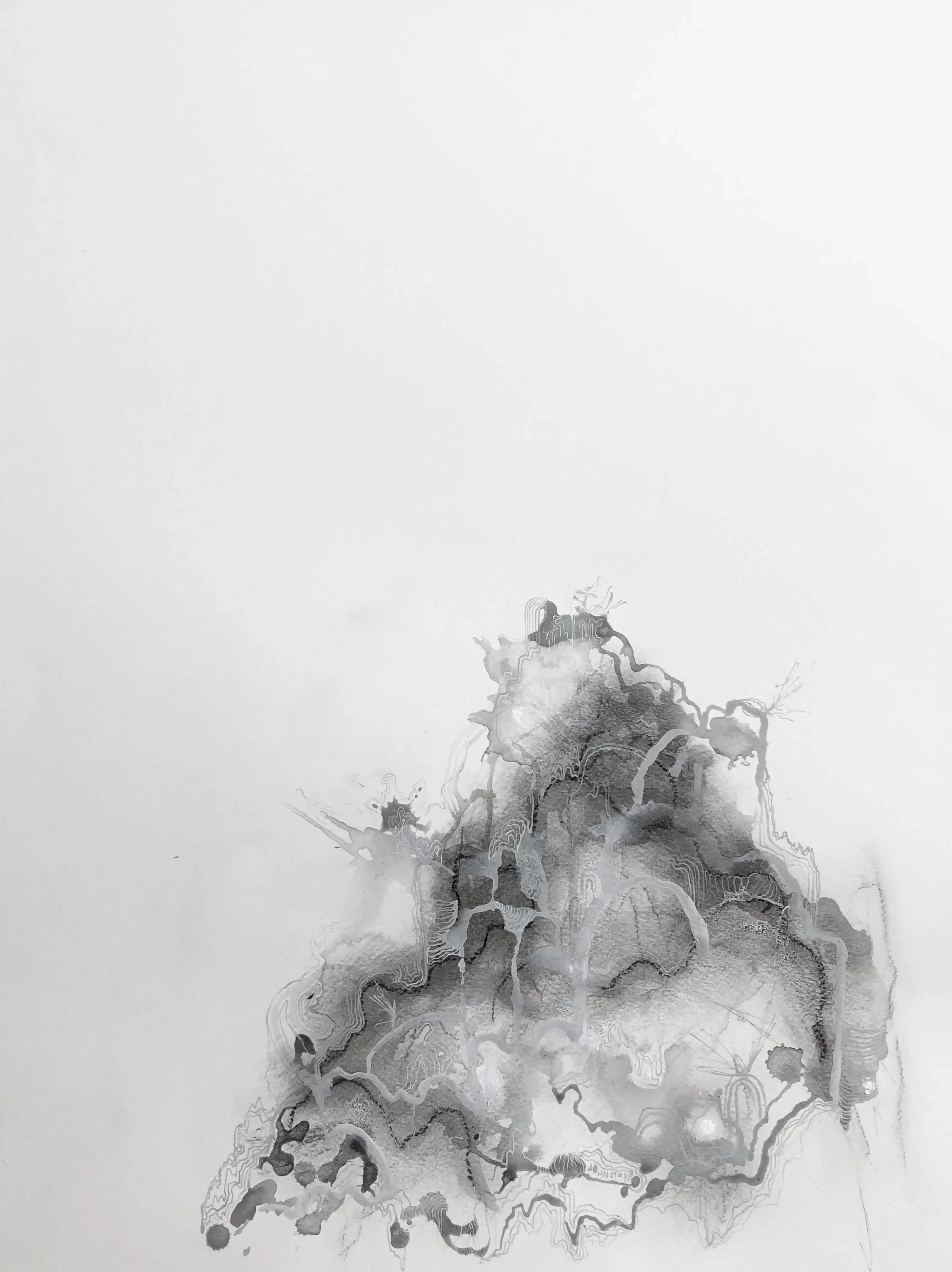 "Topographia 12: Delicate Miasma" 2023 - Ink, charcoal and graphite on paper 18 x 24"