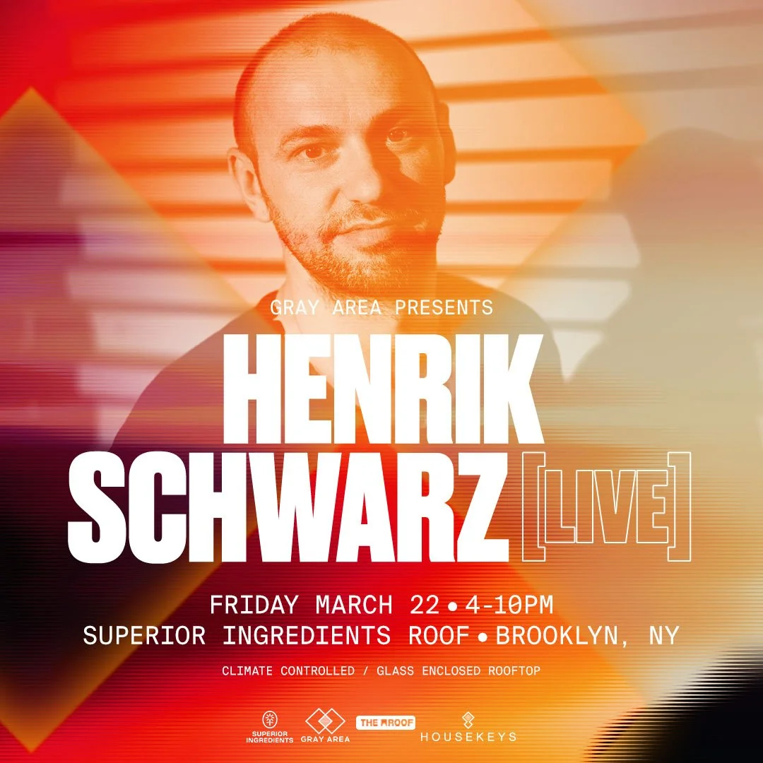 Henrik Schwarz (LIVE) — Superior Ingredients