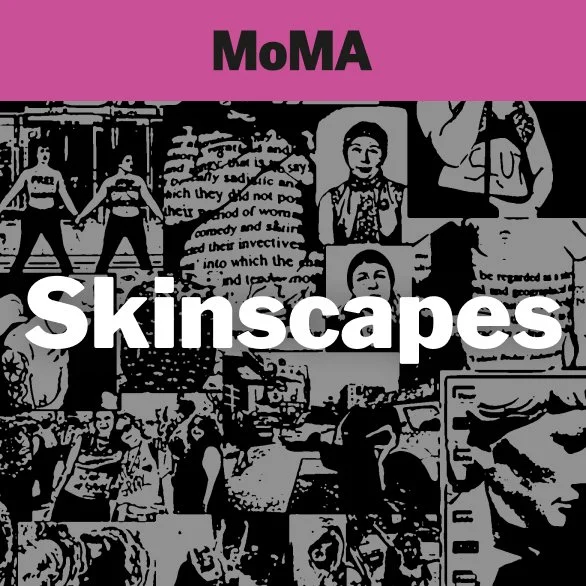 Concept: Skinscapes, a MoMA Exhibit 