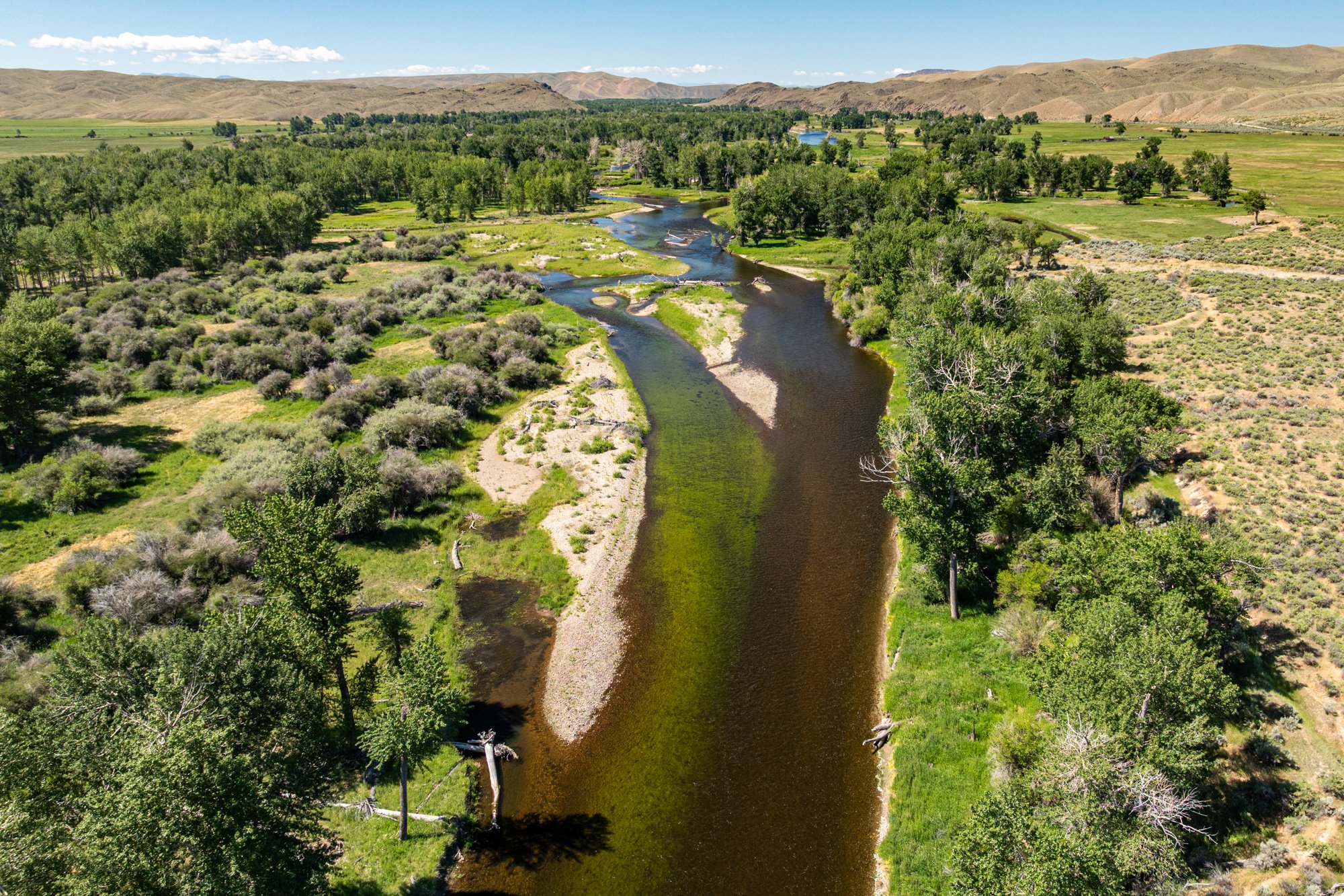 Save Wild Trout Captures Early Algae Bloom With Aerial Photography on Big Hole River; Jefferson Basin Report To Be Released On July 14 
