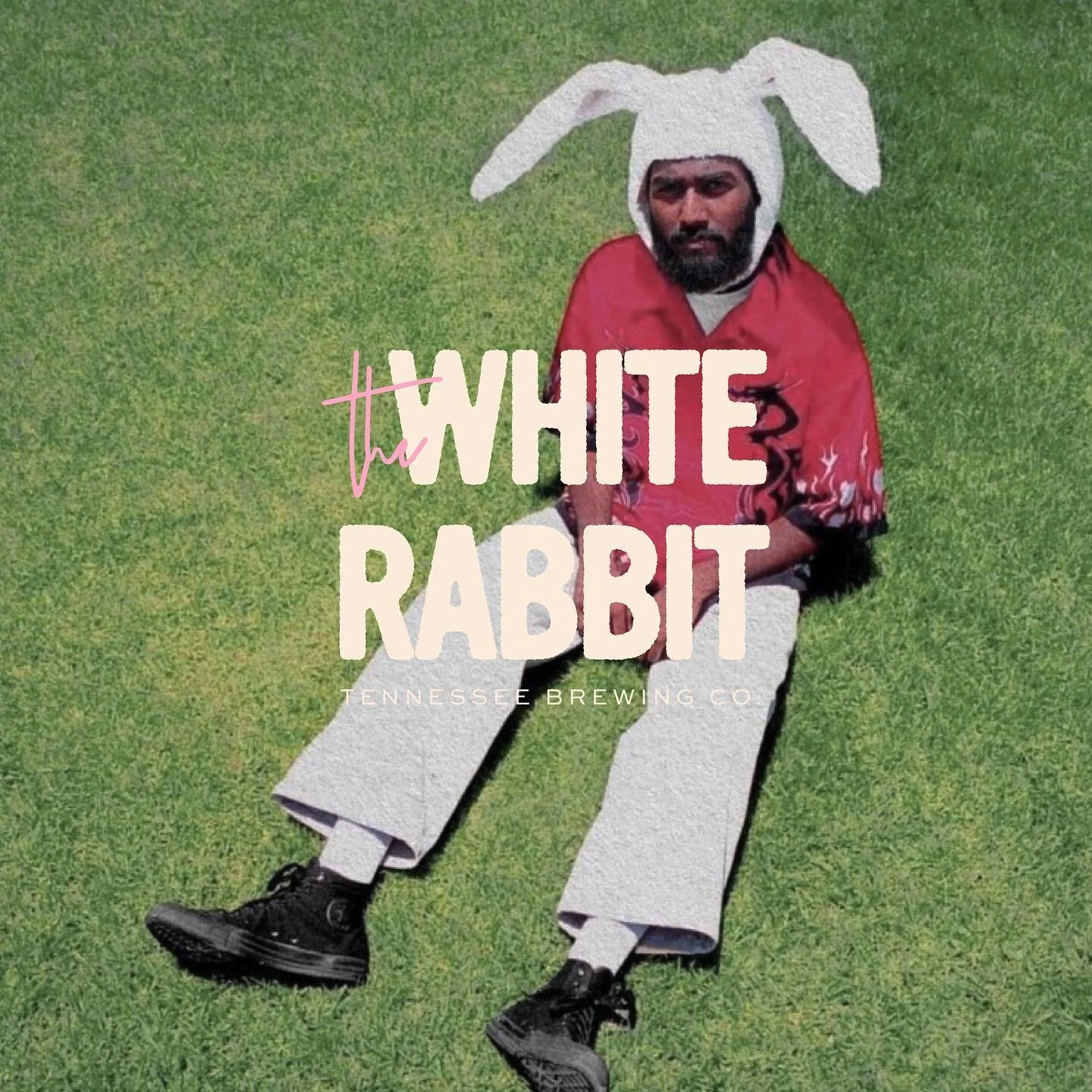 The White Rabbit, Tennessee Brewing Co 🐇 This is my first @clubdillydally brief and I am so happy with how it turned out! 

1/3 

#clubdillydally #briefbabes #branddesigner #logodesigns #beerpackagingdesign #alcoholbranding #torontographicdesigner #