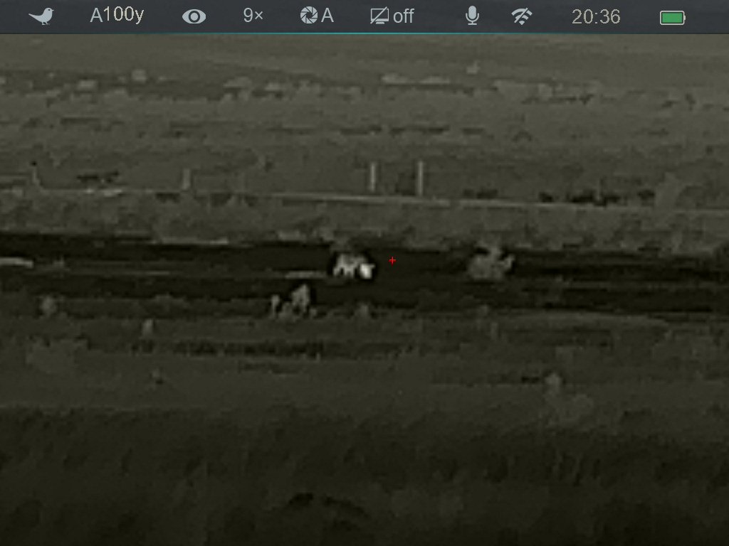 coyote hunting