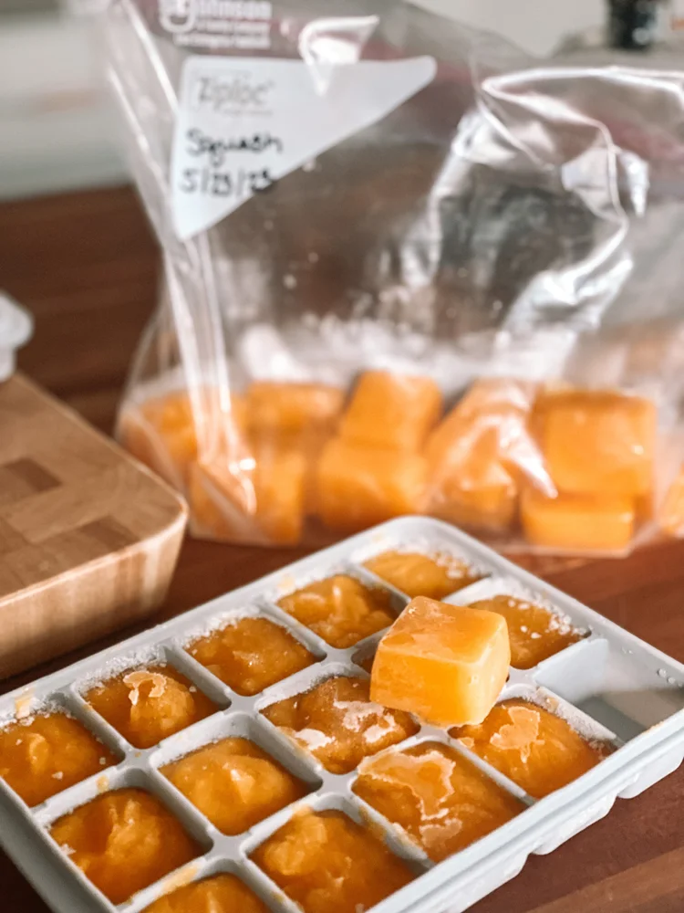 baby-food-meal-prep-geriatric-mamas