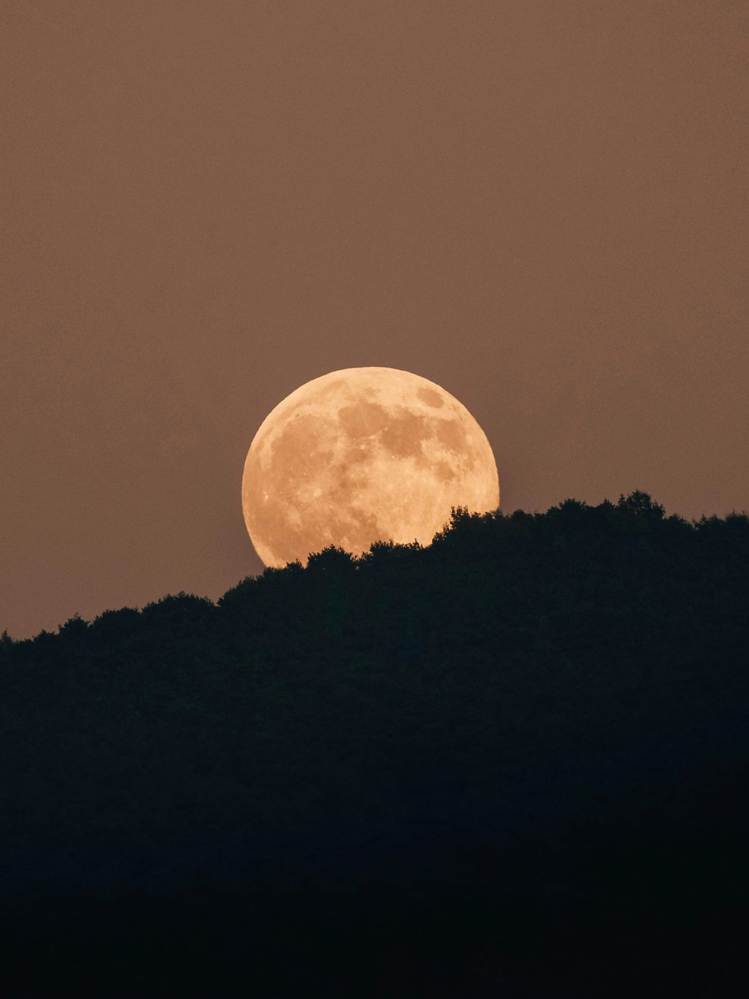 Do Full Blood Moons Affect Kids’ Behavior? What Stressed Moms Need to Know About Sleep, Tantrums, and Hyperactivity