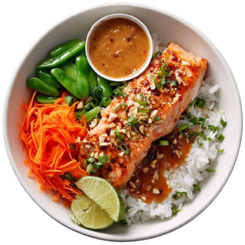 blooregard_Ariel_view_of_Teriyaki_Salmon_rice_bowl_with_salmon_98d796dc-5069-4b0a-bb68-92ffe22c03a6-removebg-preview.png