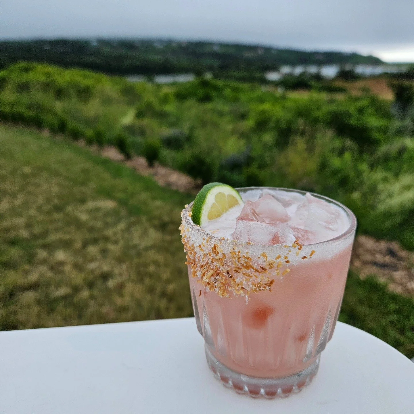 Summer Break is here and it's perfect timing for sunset sips on our lawn.... the new cocktail menu has arrived! 🧡🌅🧡

Annex 75 
prosecco, jameson, amaro Montenegro, lemon, simple syrup
17

T Time
southern comfort, rye, lemonade, turmeric, green tea