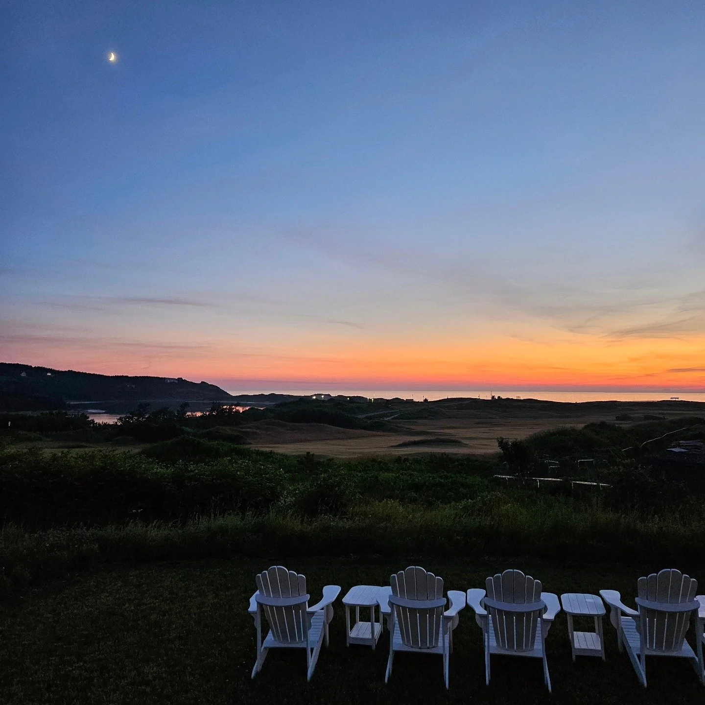 Summer Nights at The Annex.