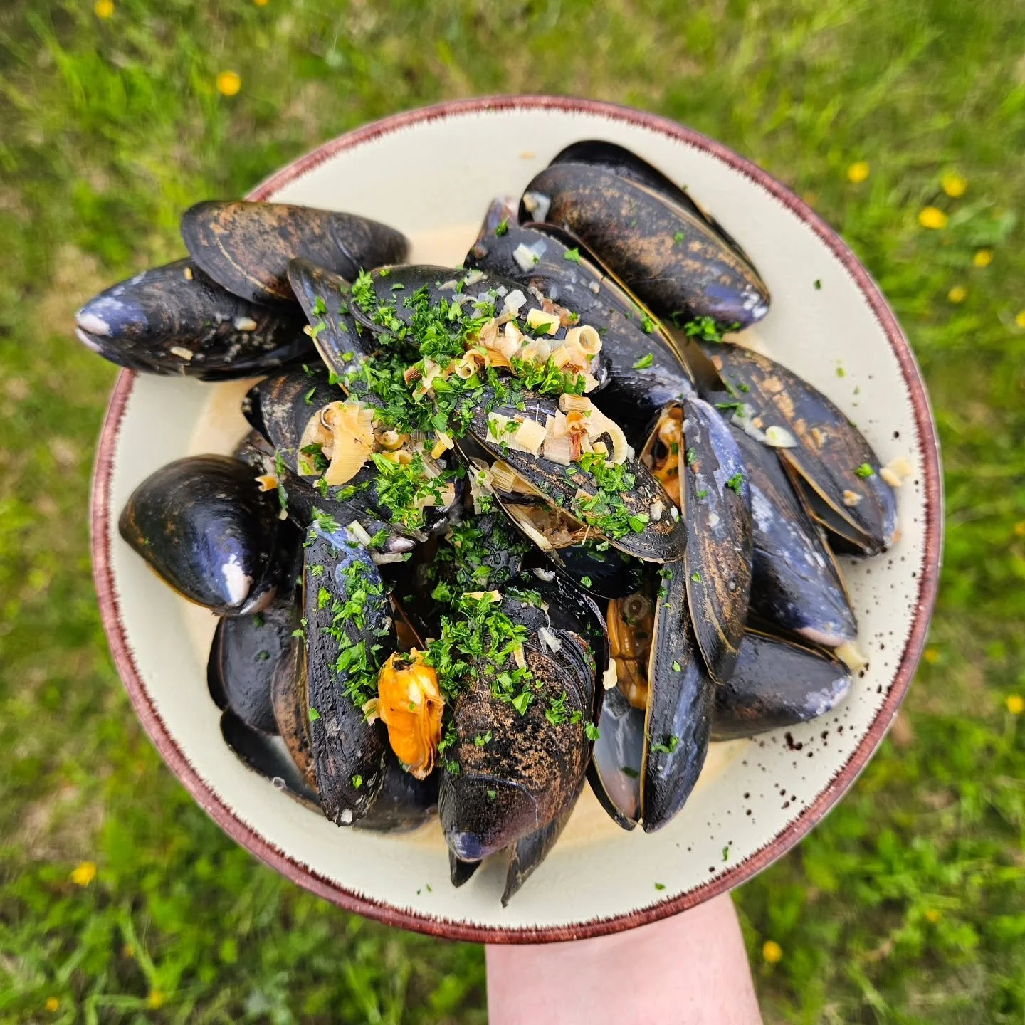The weather may be foul, but the eating is goooood. Come try our latest addition!

Mussels in a spicy lemongrass coconut broth... served with our sourdough toast soaking up every delicious bite. $24.

902-258-3173 
Eat-in or Takeout 

See you soon!