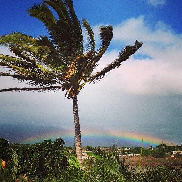 #Hawaiirainbows