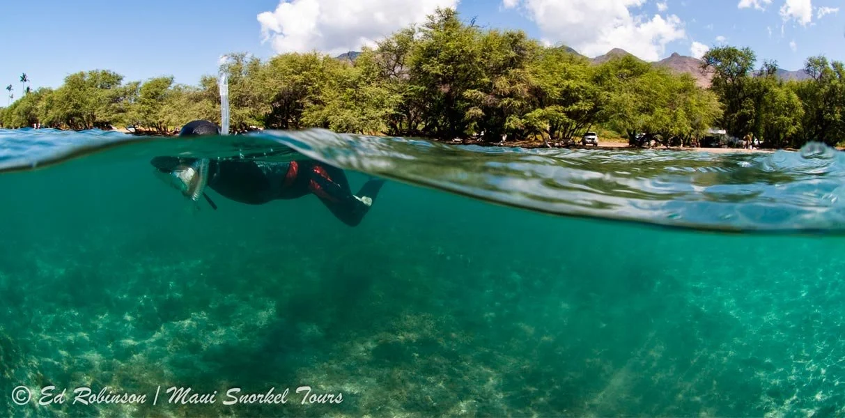 Beginner Snorkelers — Maui Snorkel Tours