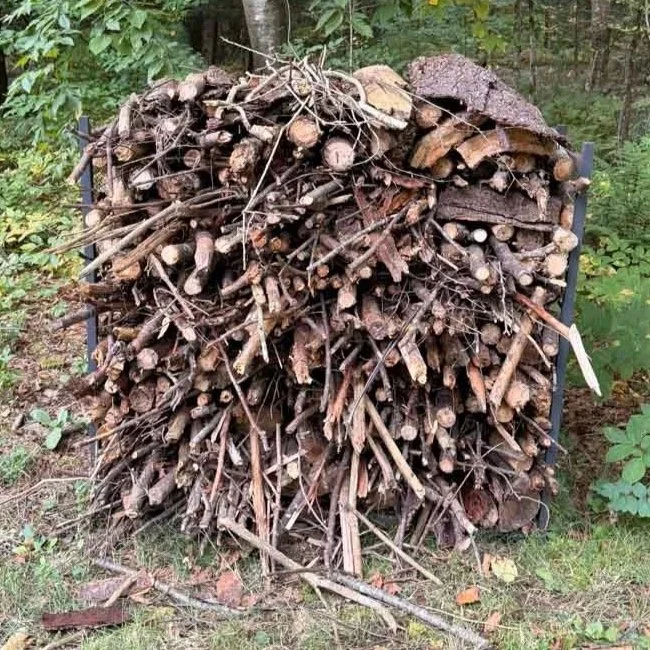 Stacked firewood and branches beside the woods on a Rhode Island property