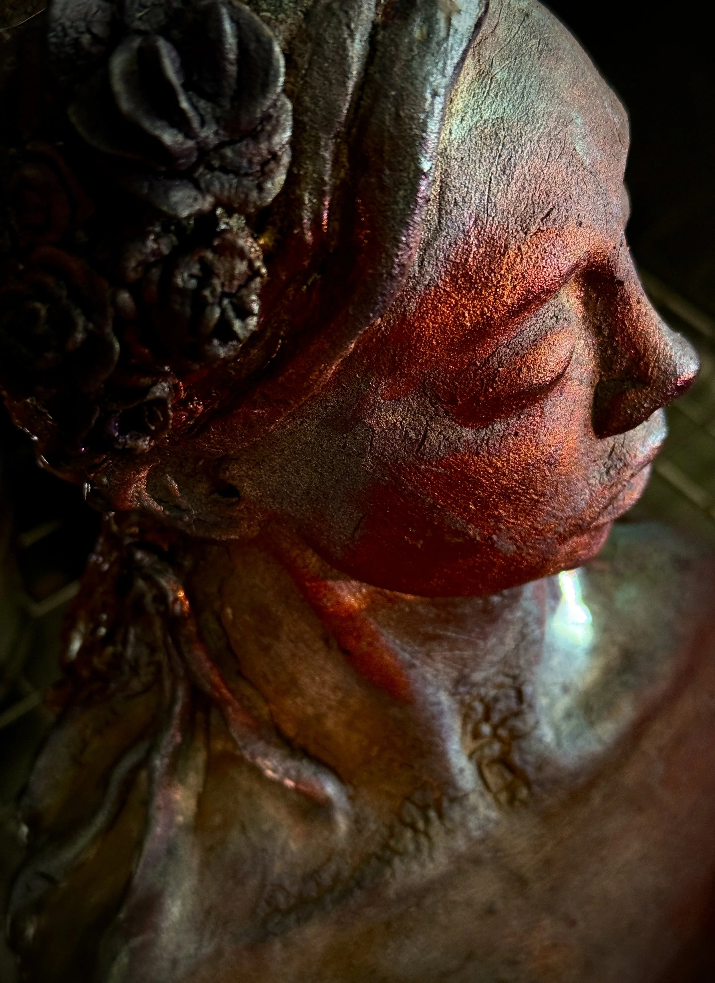 Close-up of a bronze Buddha statue showing the face in profile with closed eyes and a textured surface.