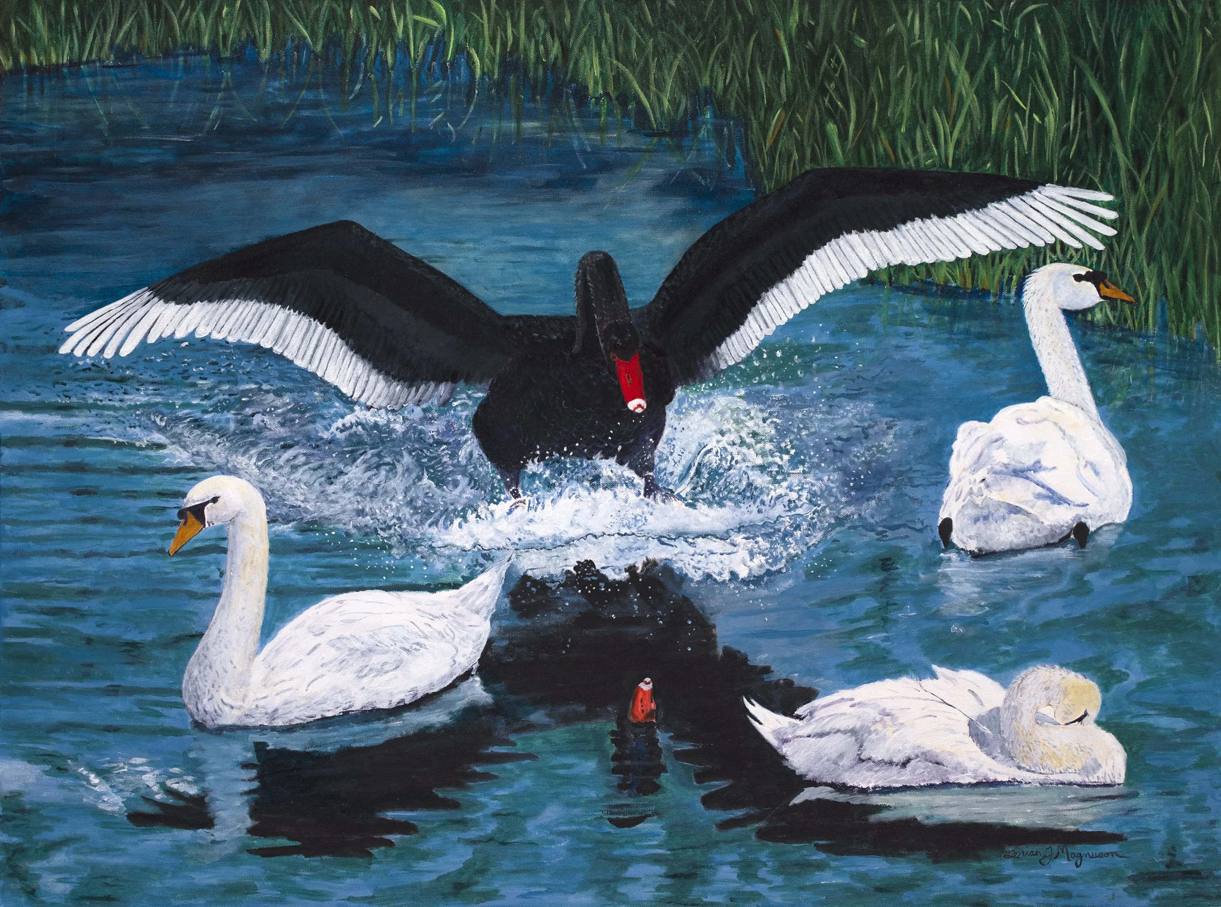 Black Swan Event.jpg