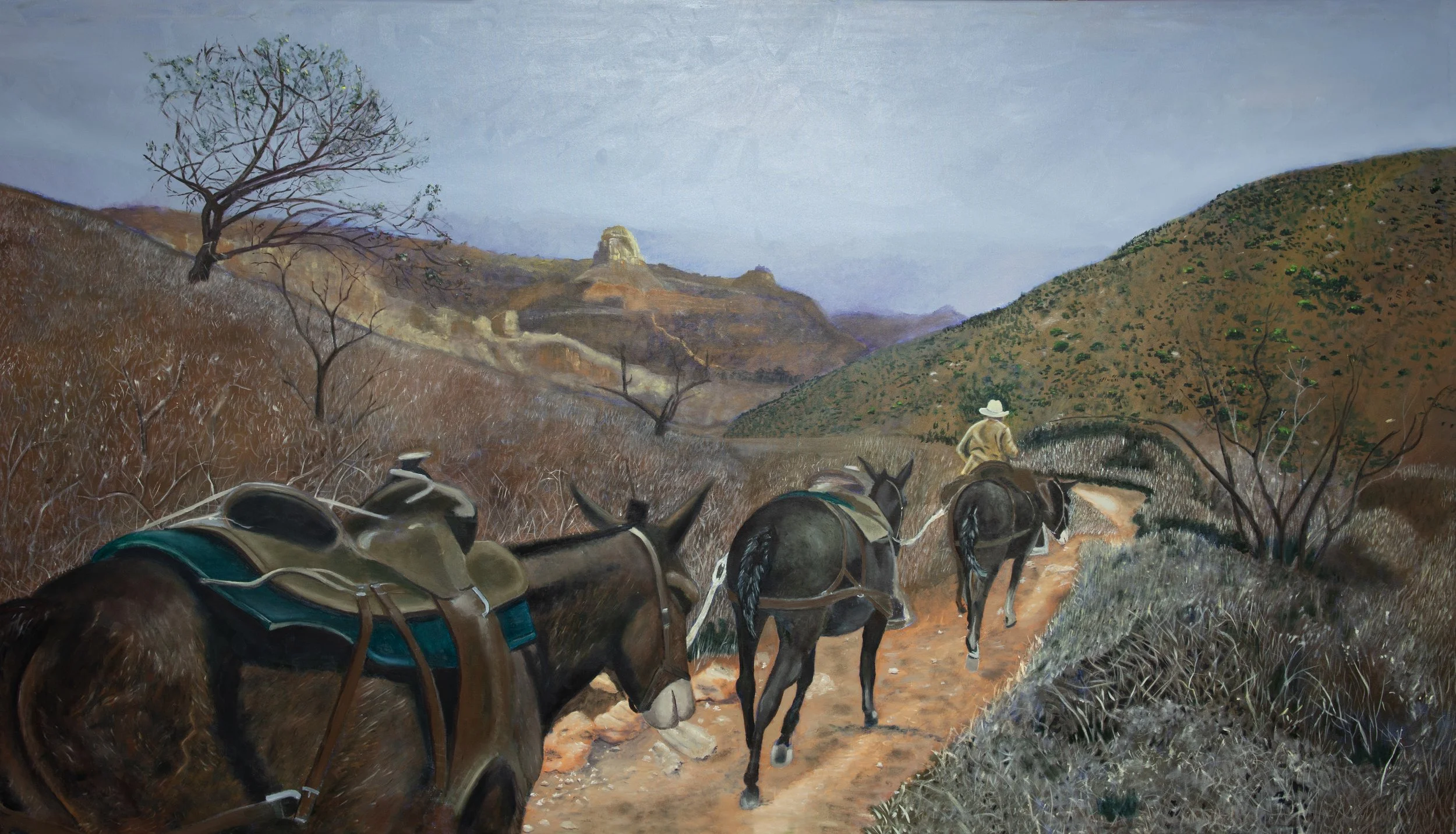 Below the Rims Storm copy.jpg