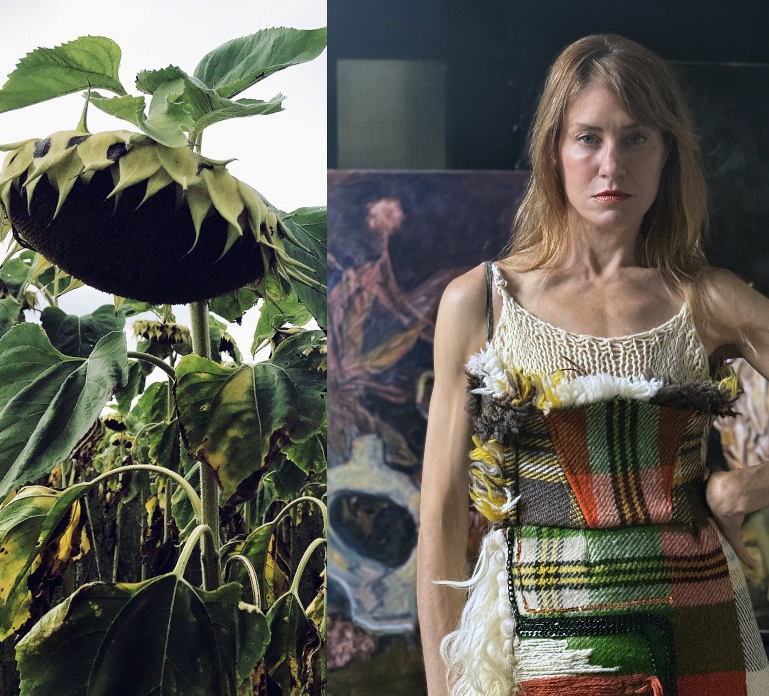 Irina pages with sheep and sunflower.jpg