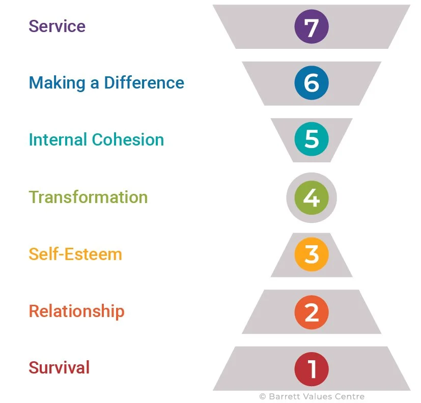 The Importance of Values in Building a High-Performance Culture — BVC