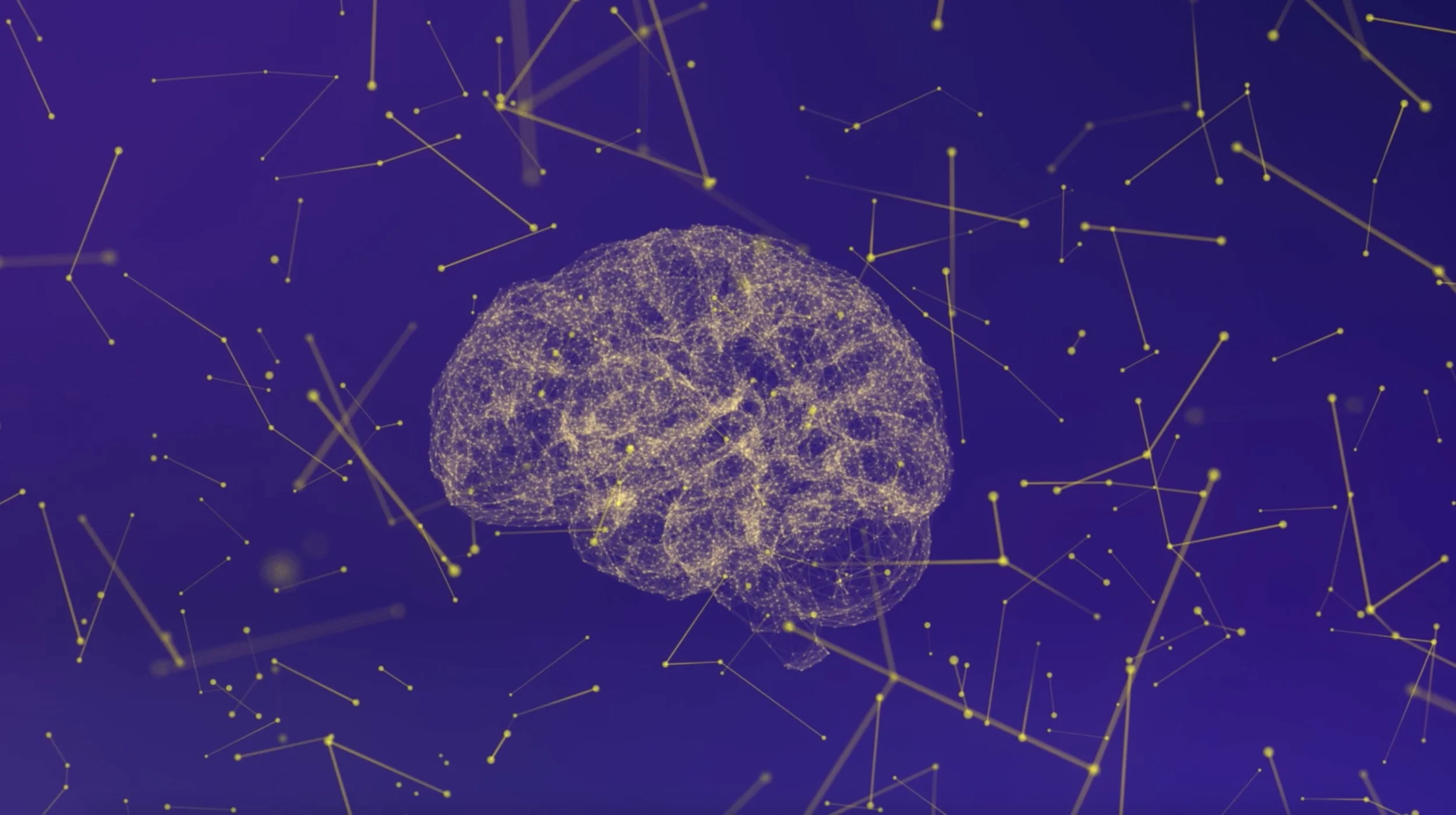 Screenshot 2023-06-05 at 2.08.50 pm.jpg