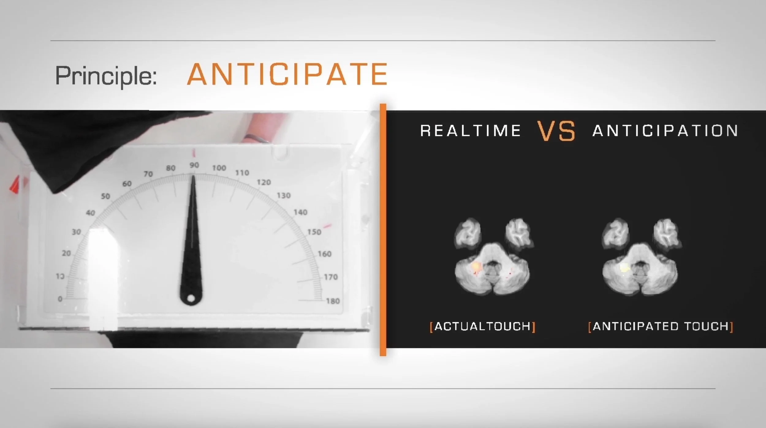 Screenshot 2023-06-06 at 2.44.19 pm.jpg