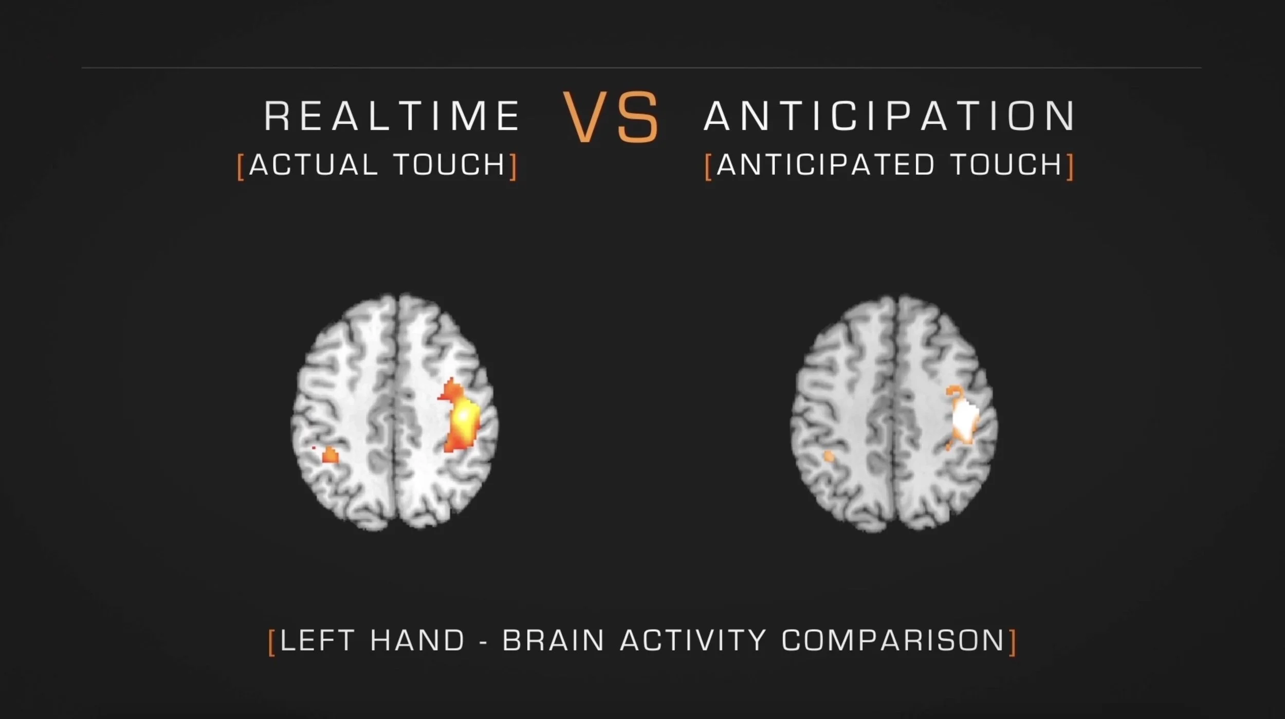 Screenshot 2023-06-06 at 2.43.28 pm.jpg