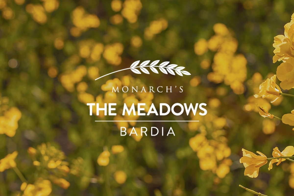 MeadowsBardia_01.jpg