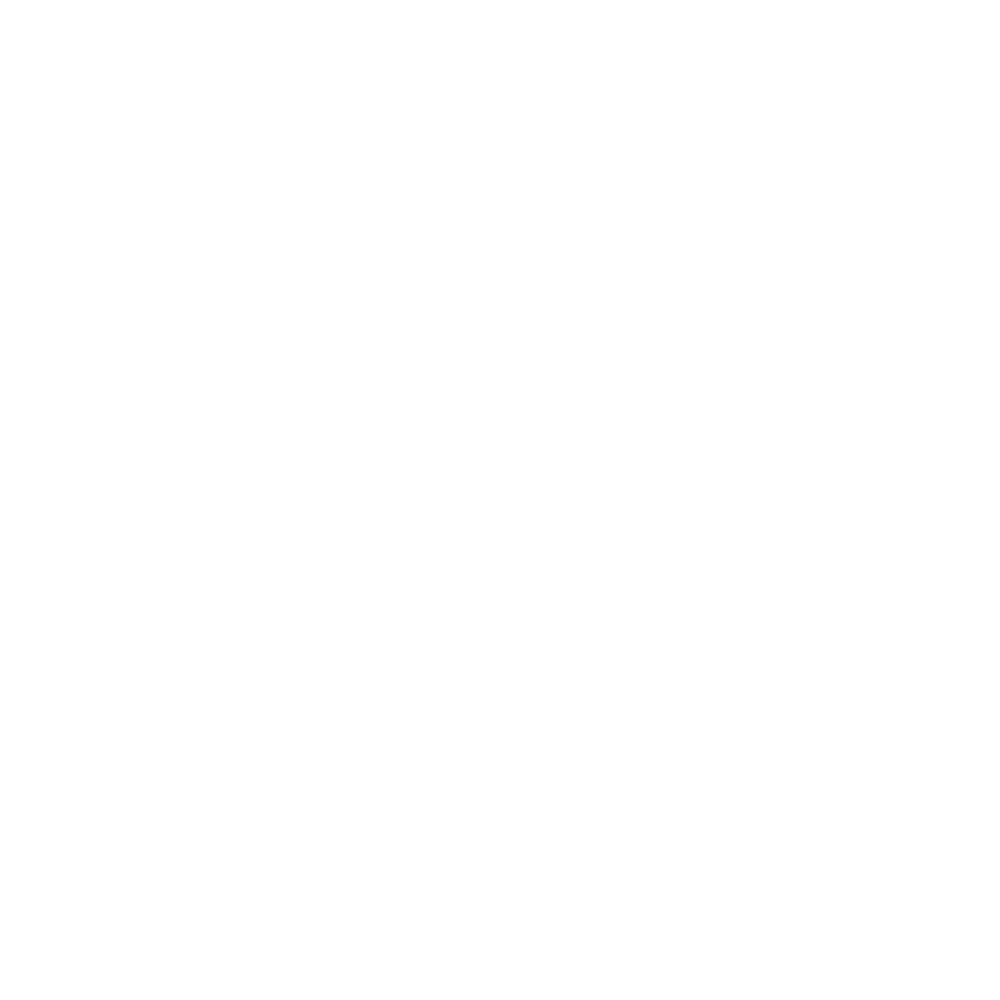 Royal Import Auto Sales