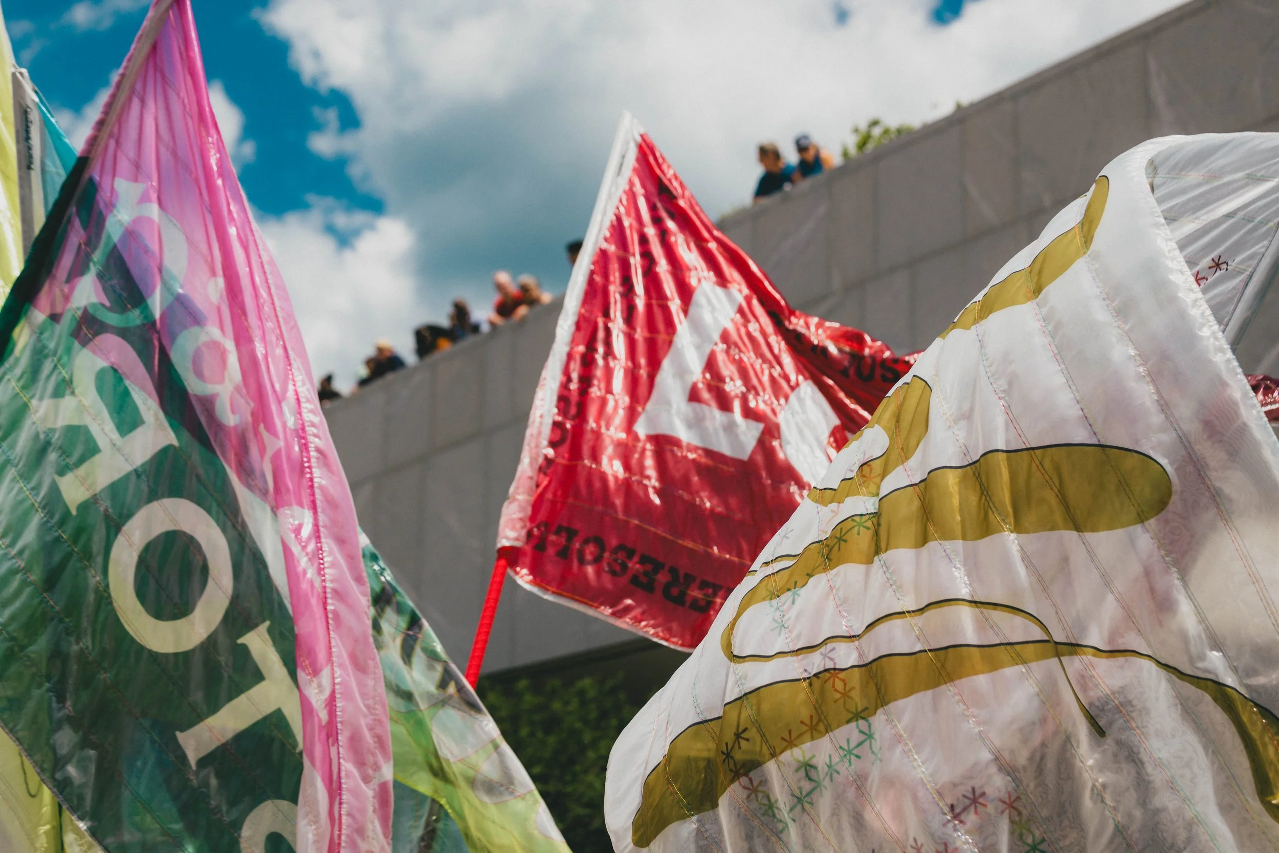 Dayson Roa_Bob_Faust_Flags-2.jpg