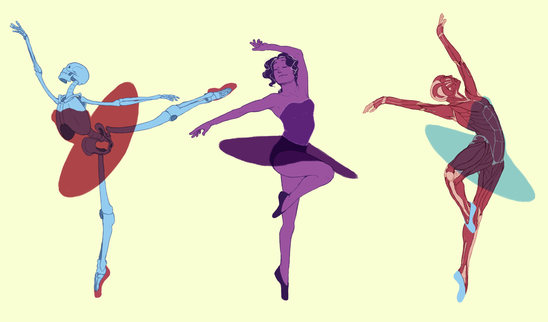 zoe-casey-anatomy-final_orig.png