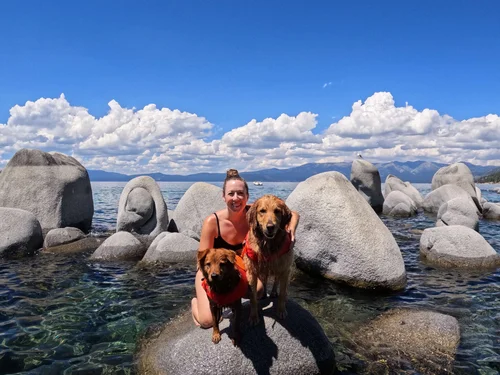 Places to Travel With Dogs: Top Pet-Friendly Destinations Explored