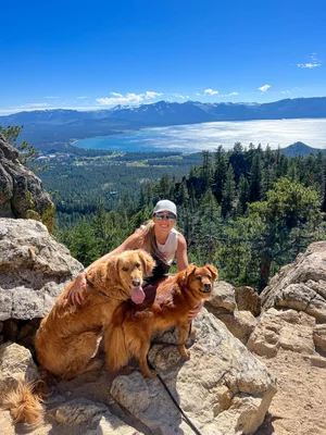 Dog Friendly Activities Lake Tahoe: Adventure Awaits