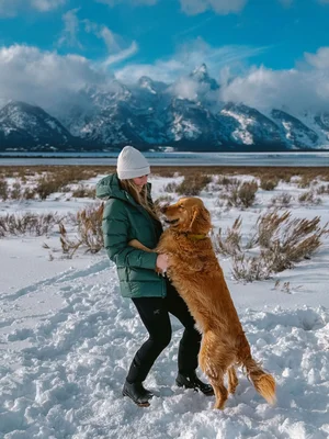 Dog Activities in Winter: Fun Ways to Keep Dogs Active